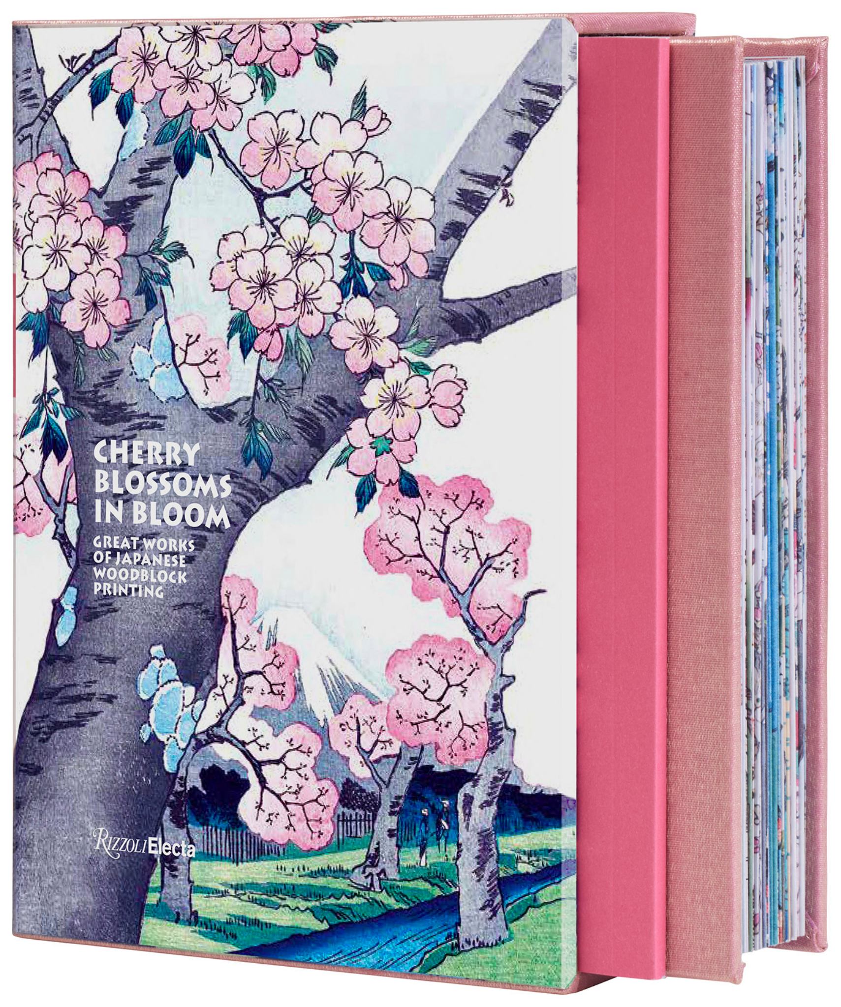 Cherry Blossoms in Bloom Cover Image