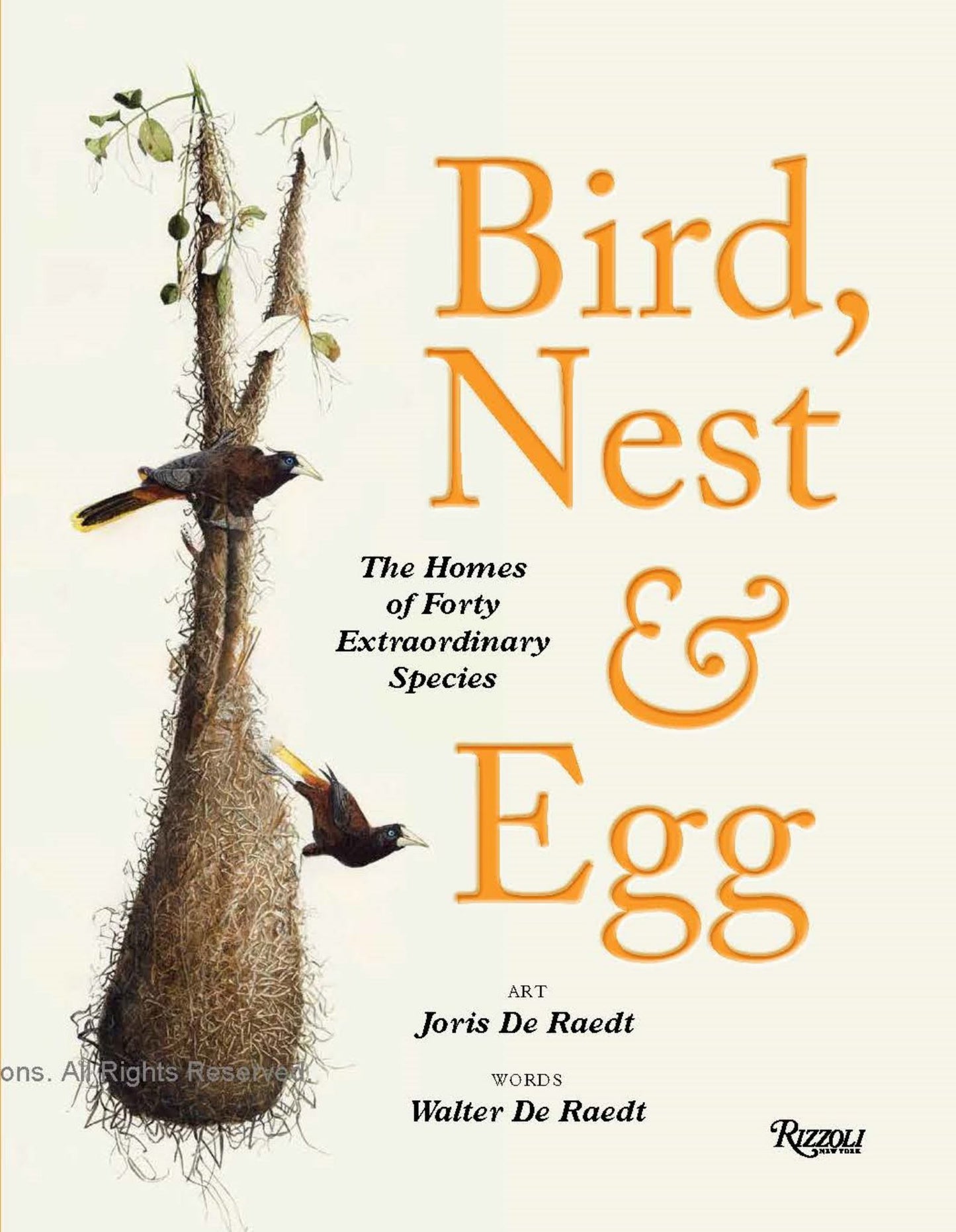 Bird, Nest and Egg Cover Image