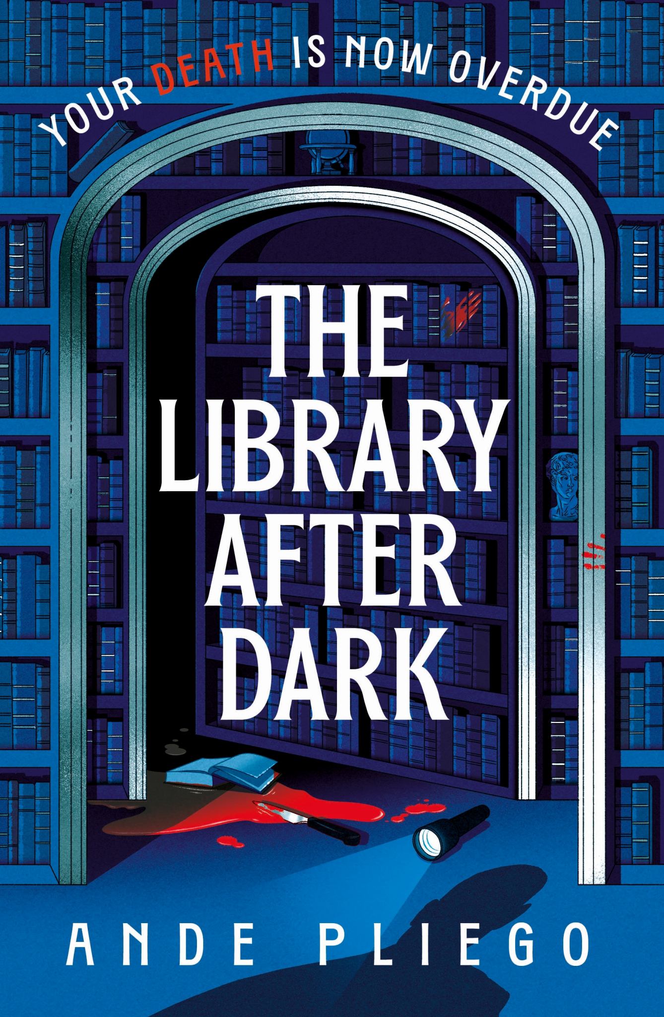The Library after Dark Cover Image
