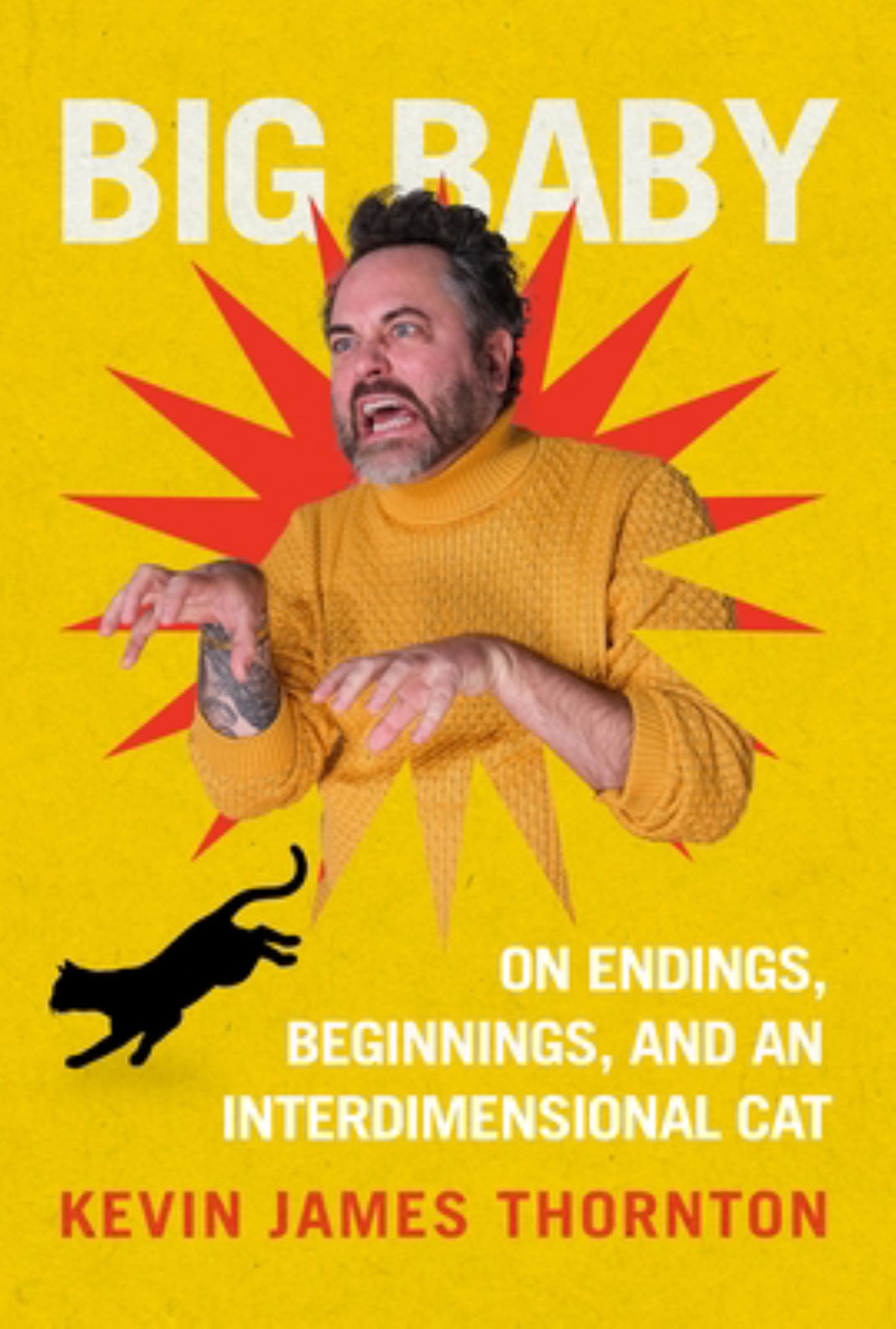 Big Baby Cover Image