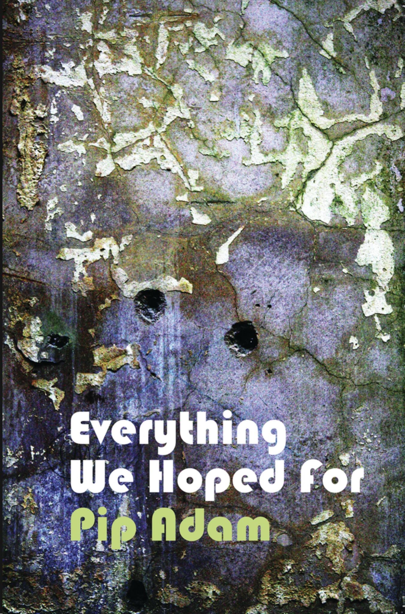 Everything We Hoped For Cover Image