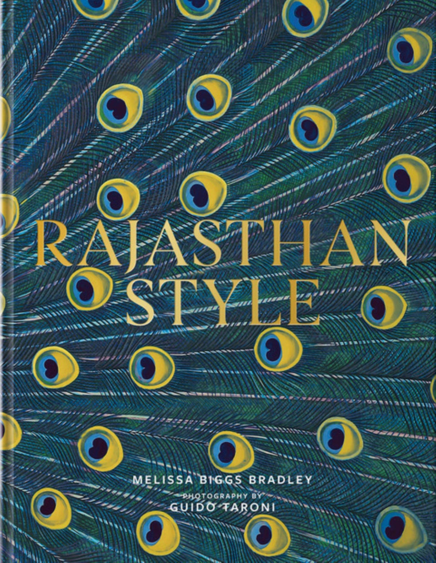 Rajasthan Style Cover Image