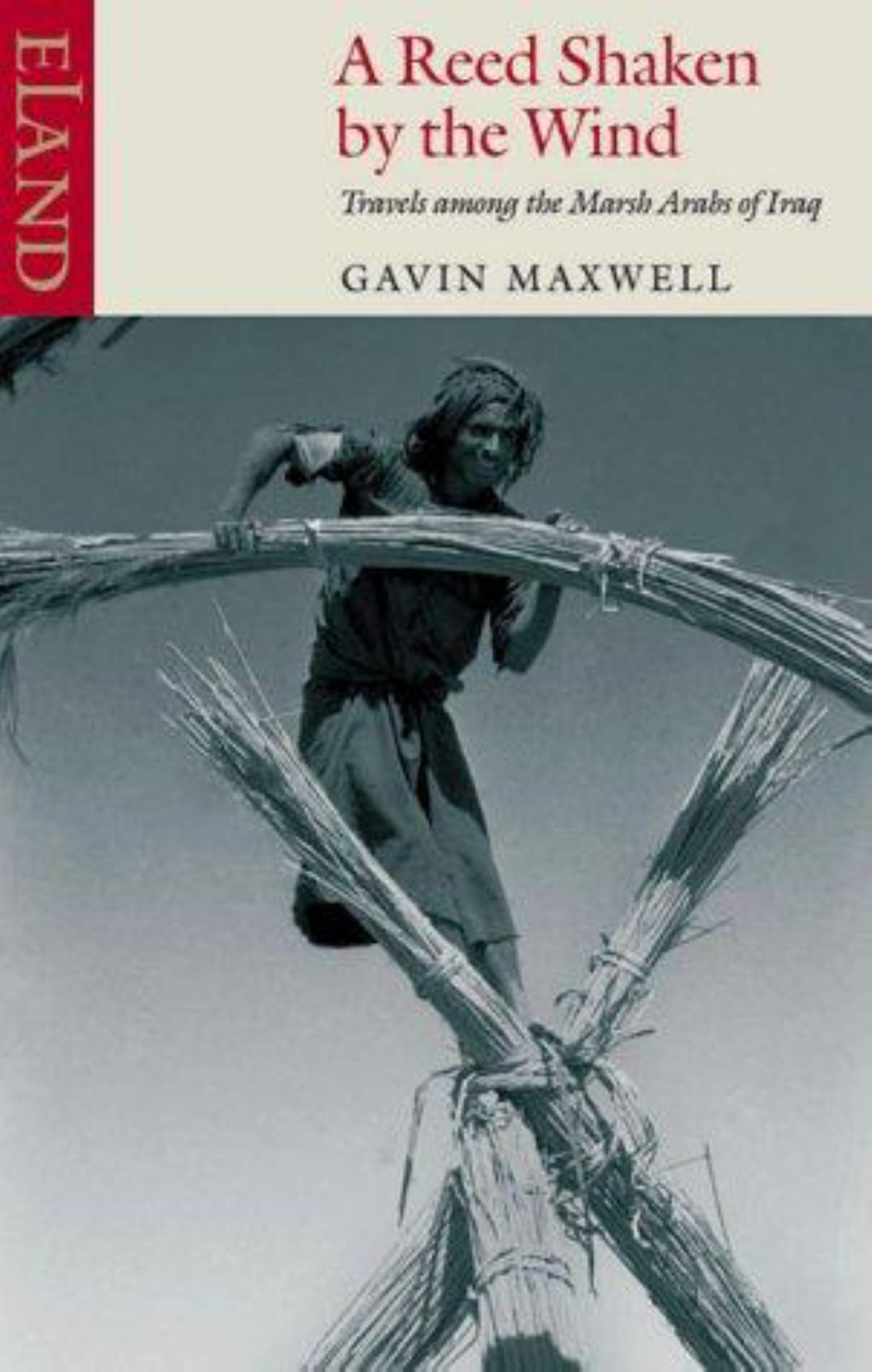 A Reed Shaken by the Wind Cover Image
