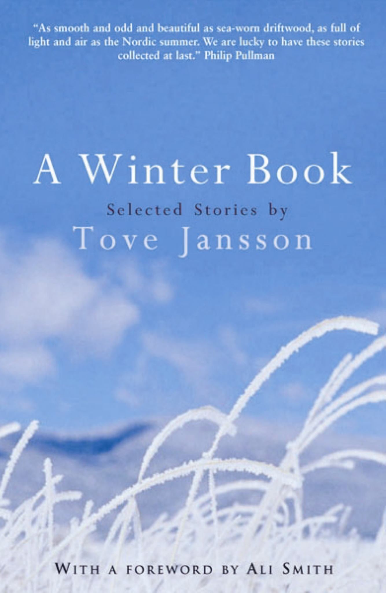 A Winter Book Cover Image
