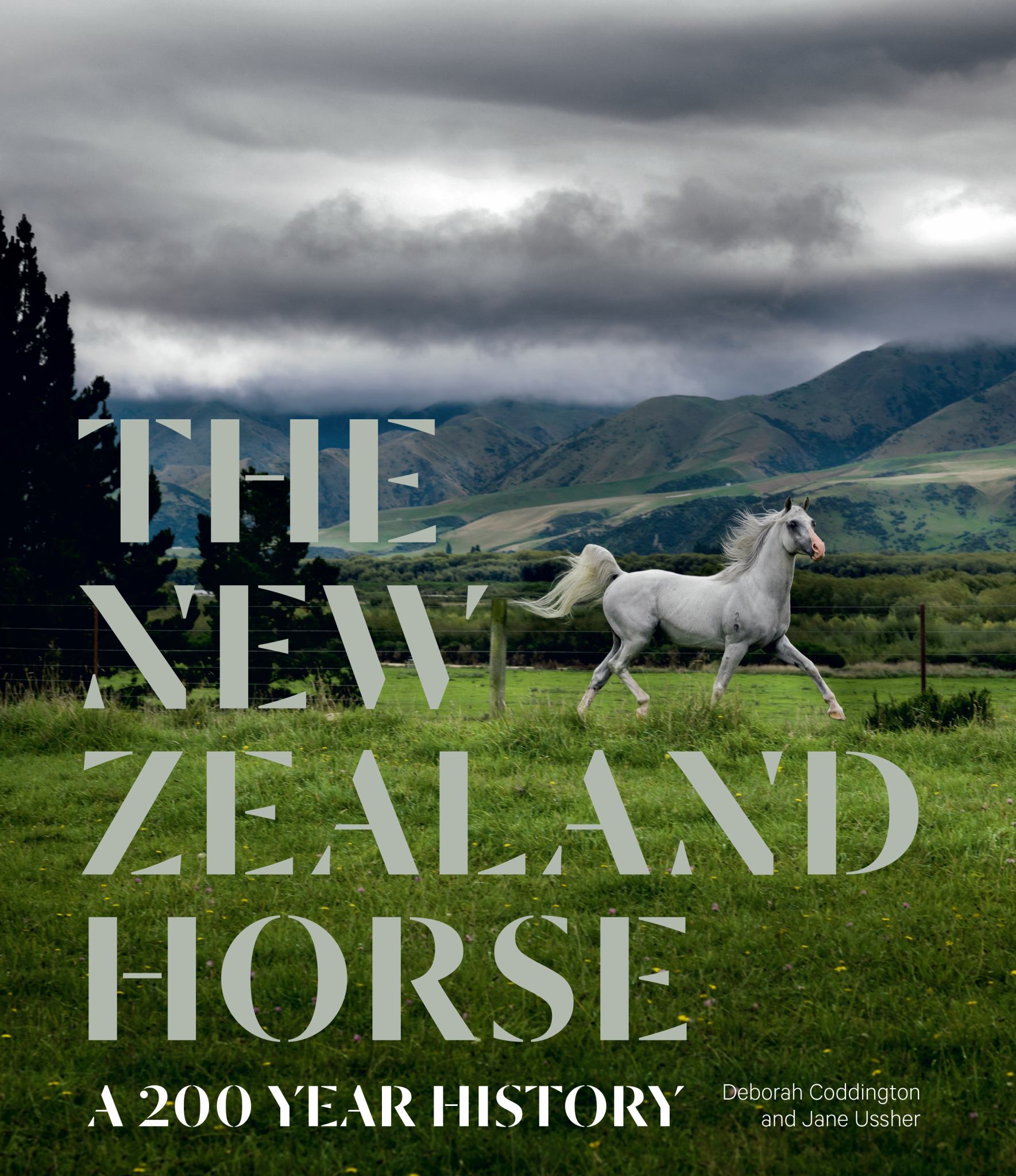 The New Zealand Horse Cover Image