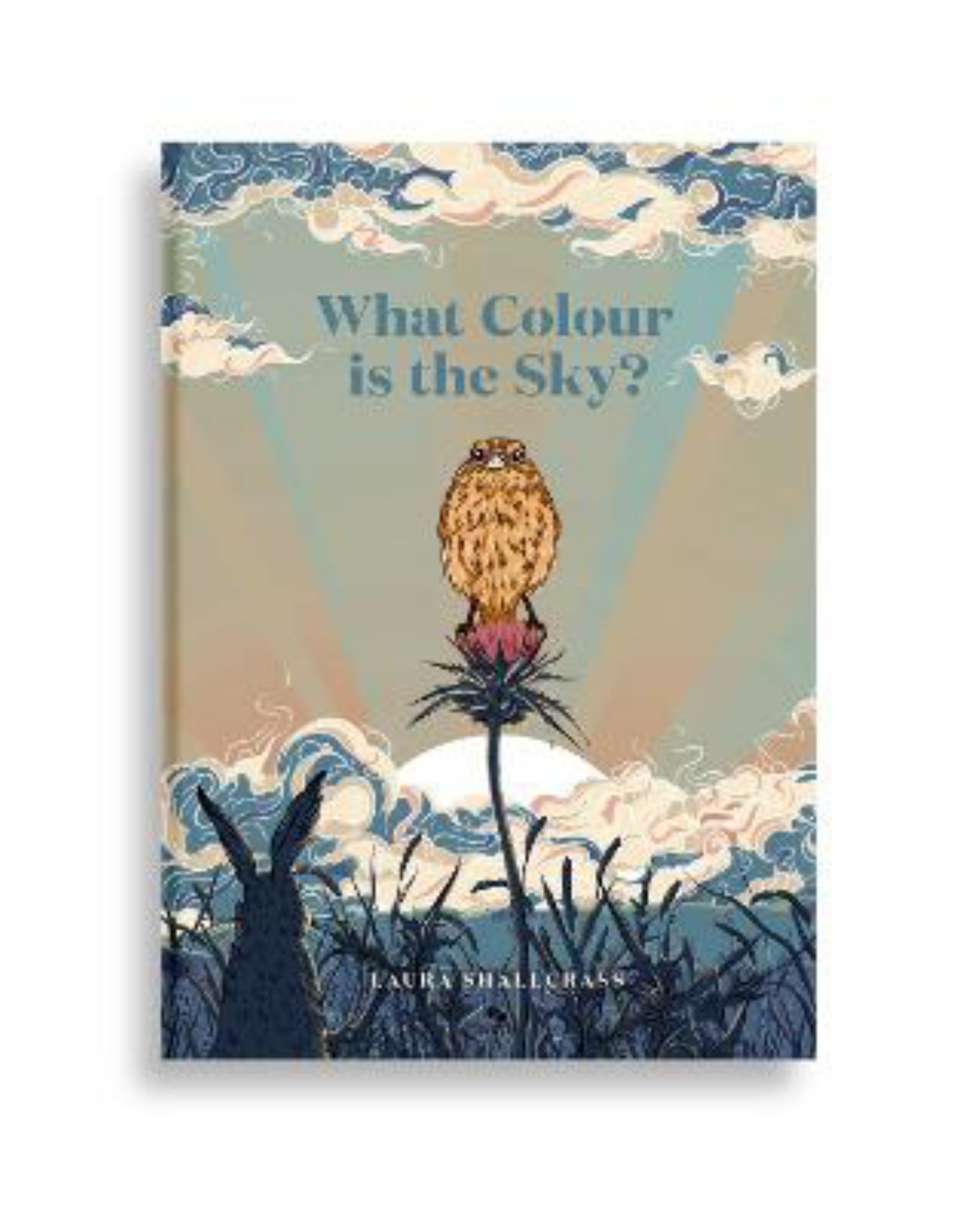 What Colour Is the Sky Cover Image