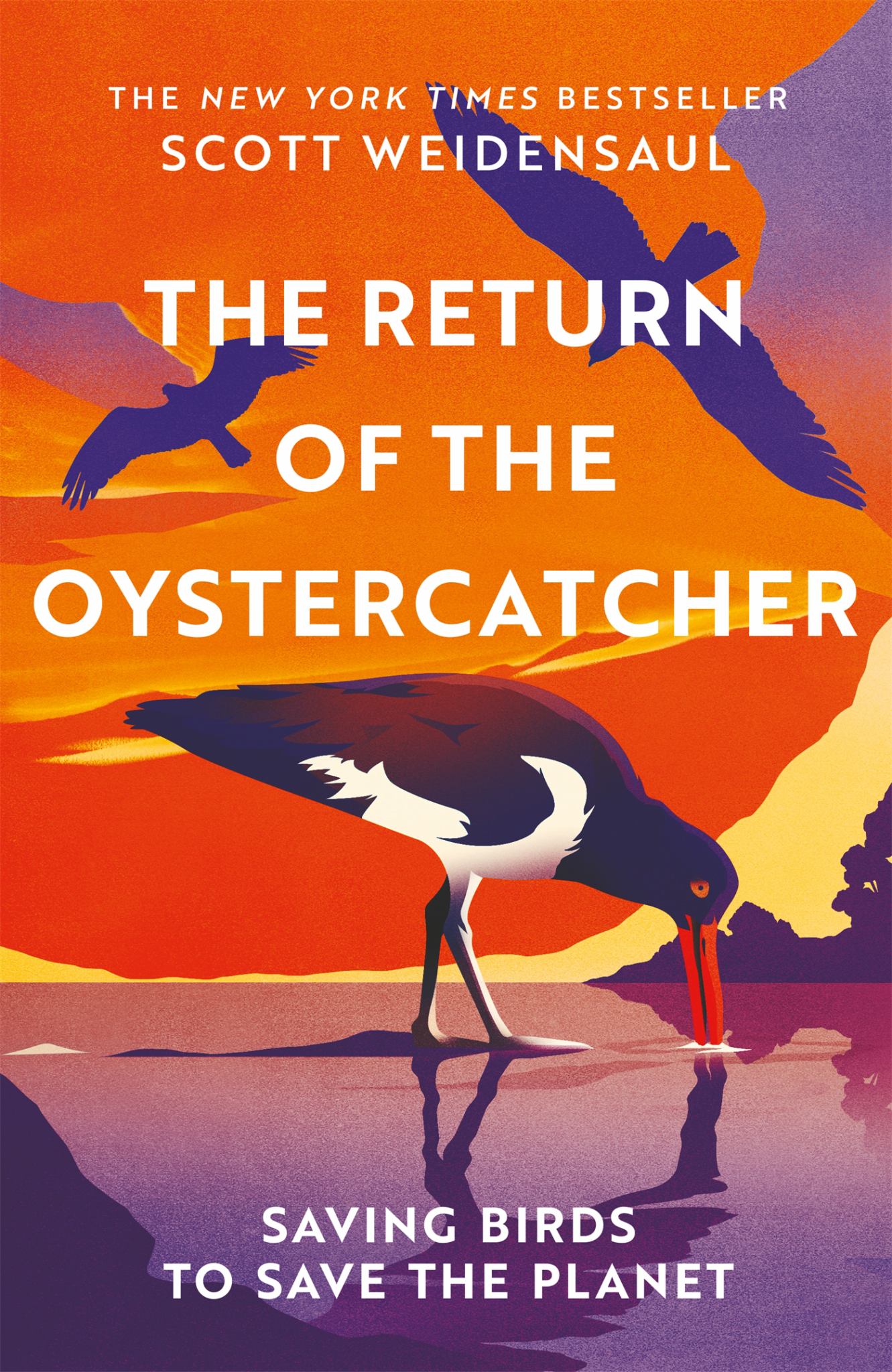 The Return of the Oystercatchers Cover Image