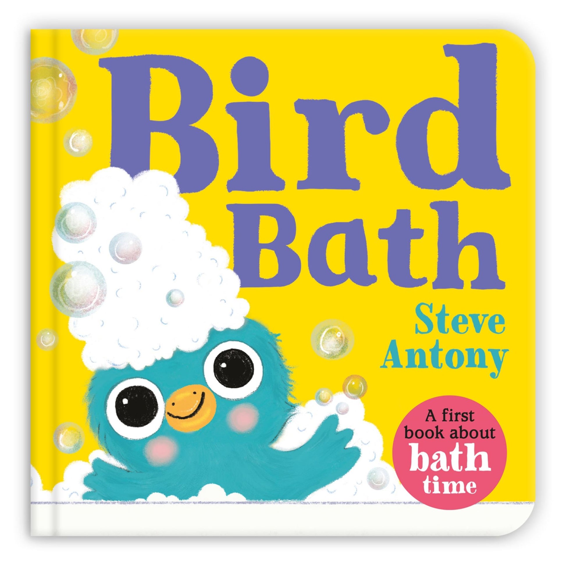 Bird Bath Cover Image