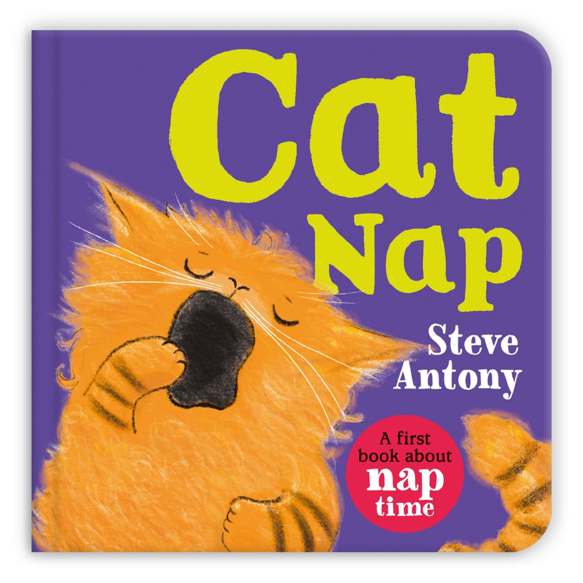Cat Nap Cover Image