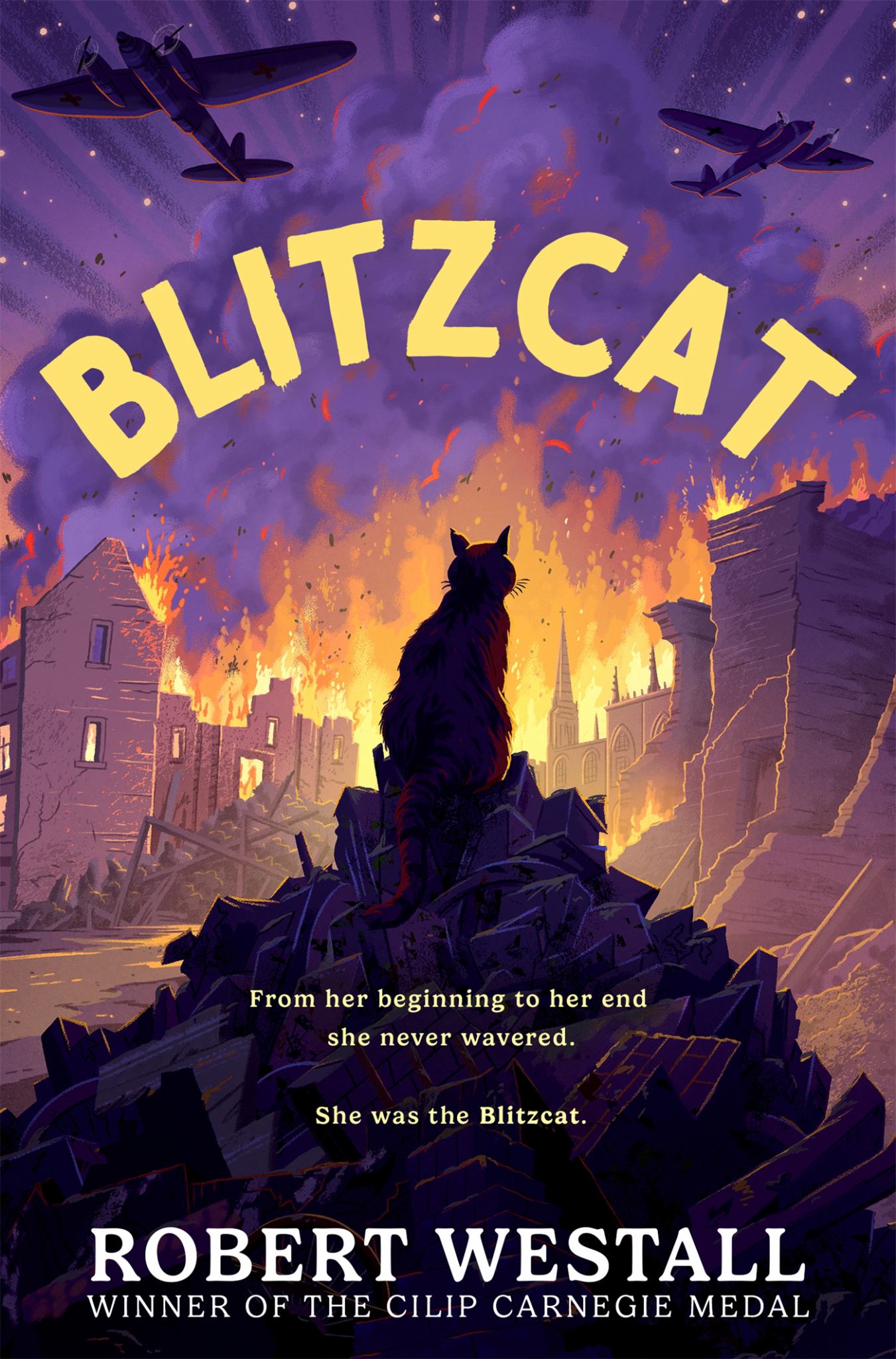 Blitzcat Cover Image