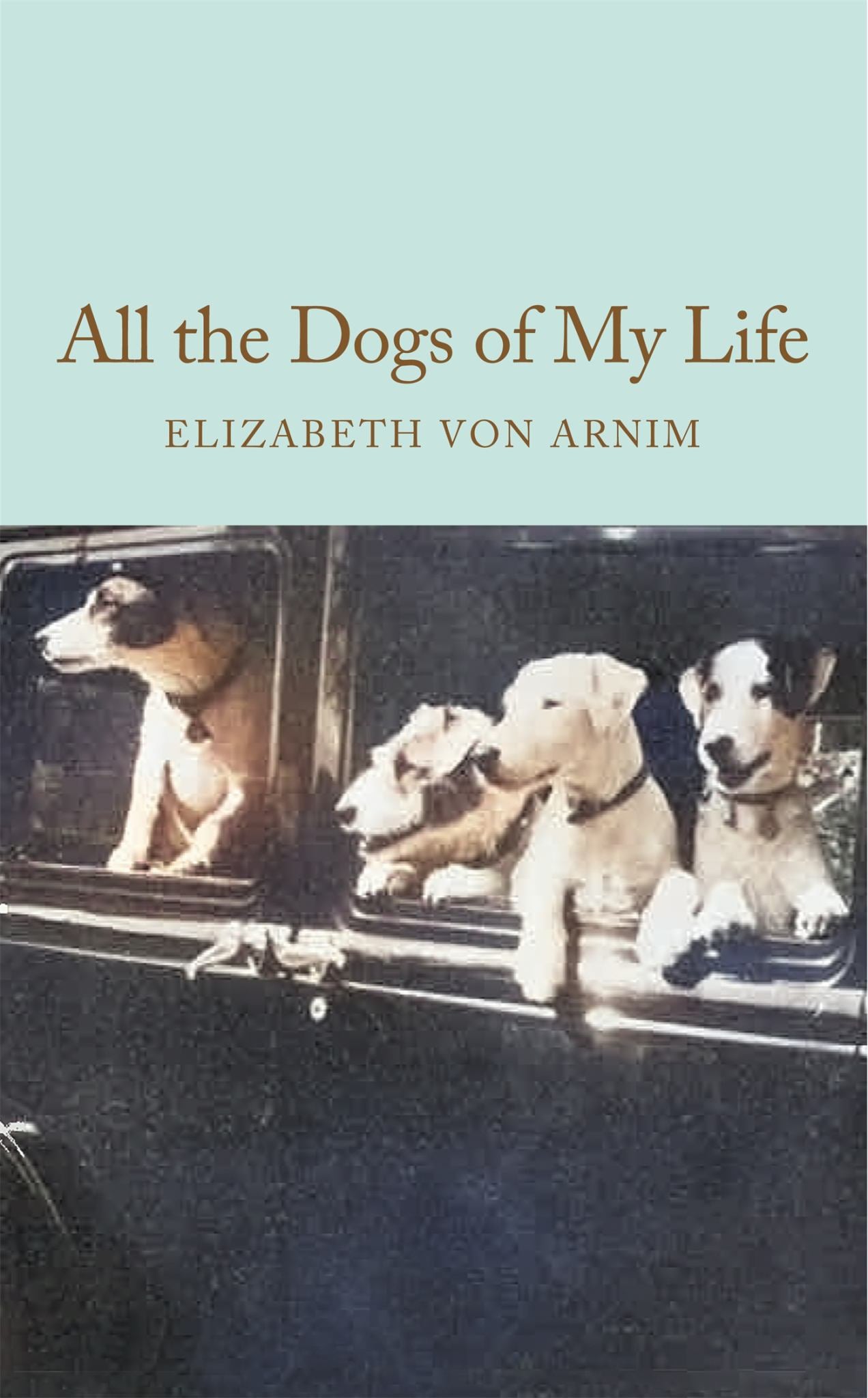 All the Dogs of My Life Cover Image