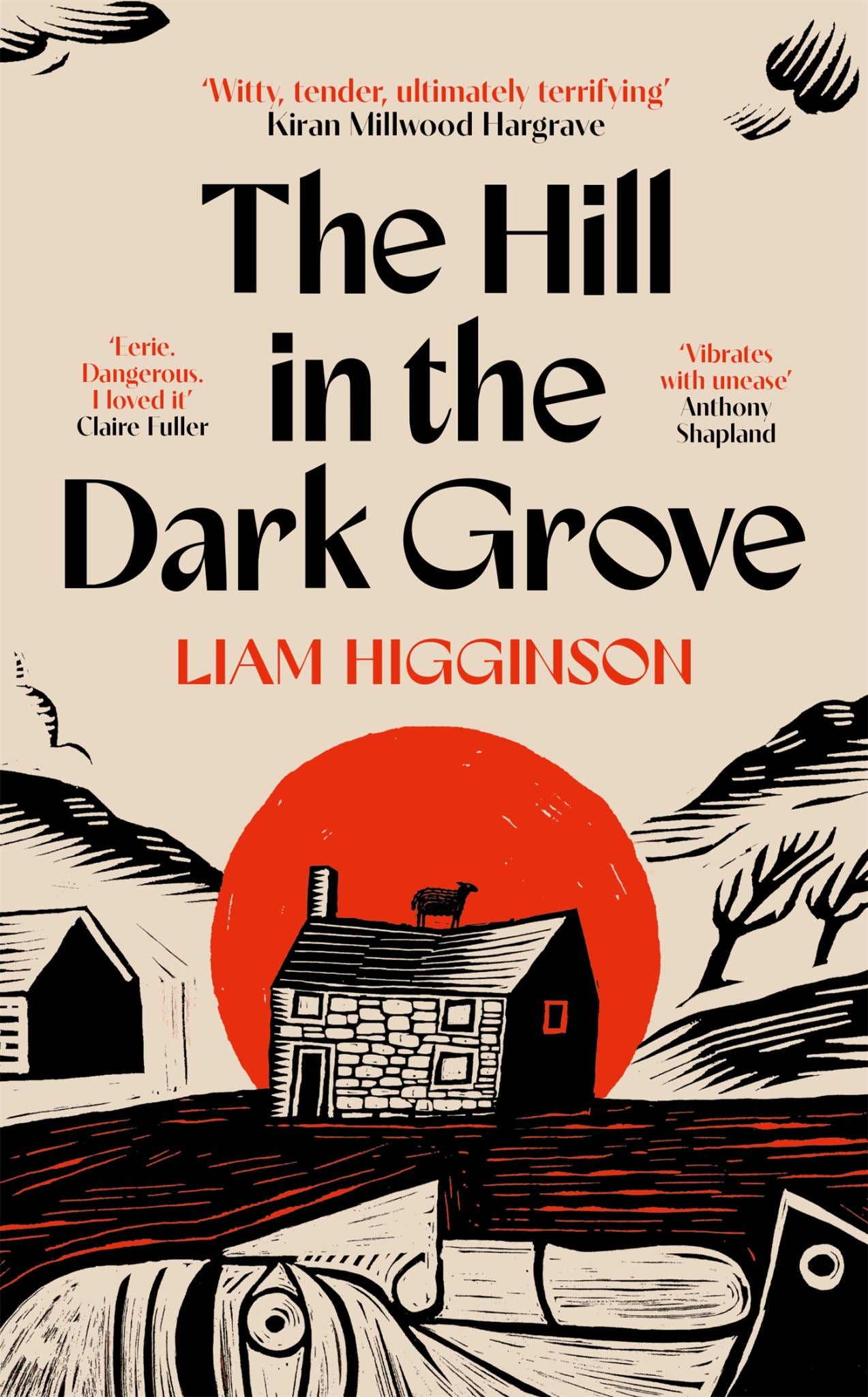 The Hill in the Dark Grove Cover Image