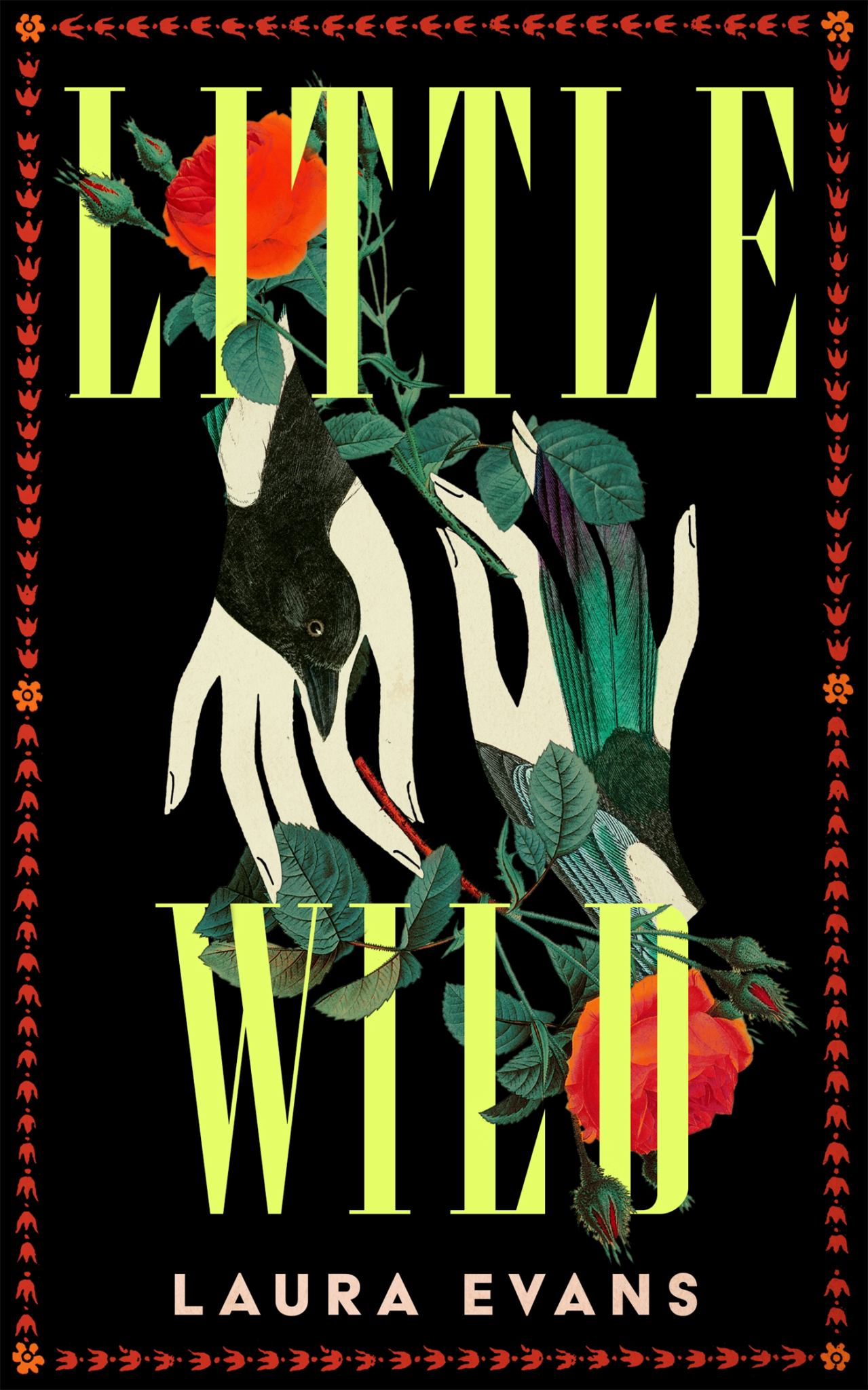 Little Wild Cover Image