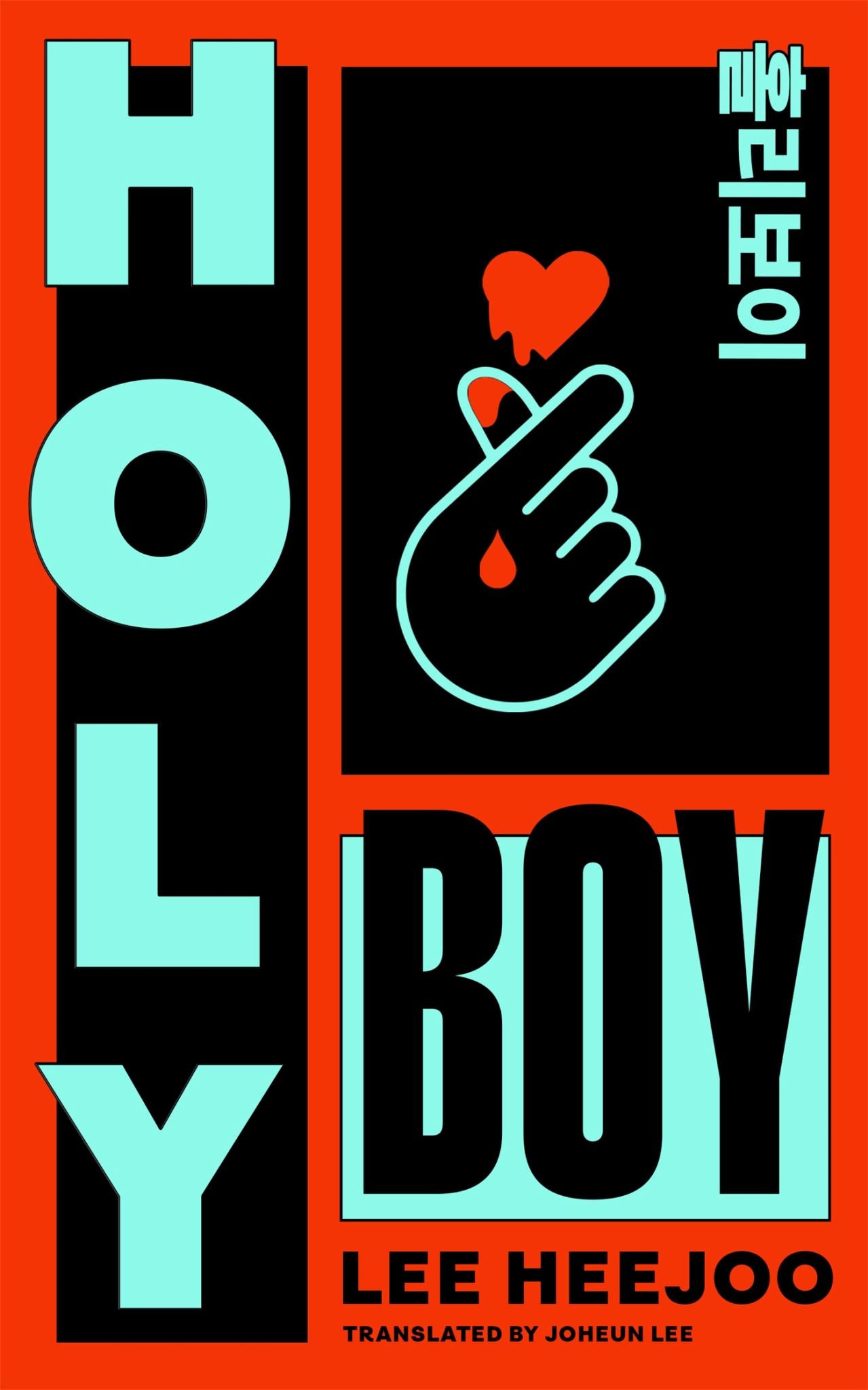 Holy Boy Cover Image