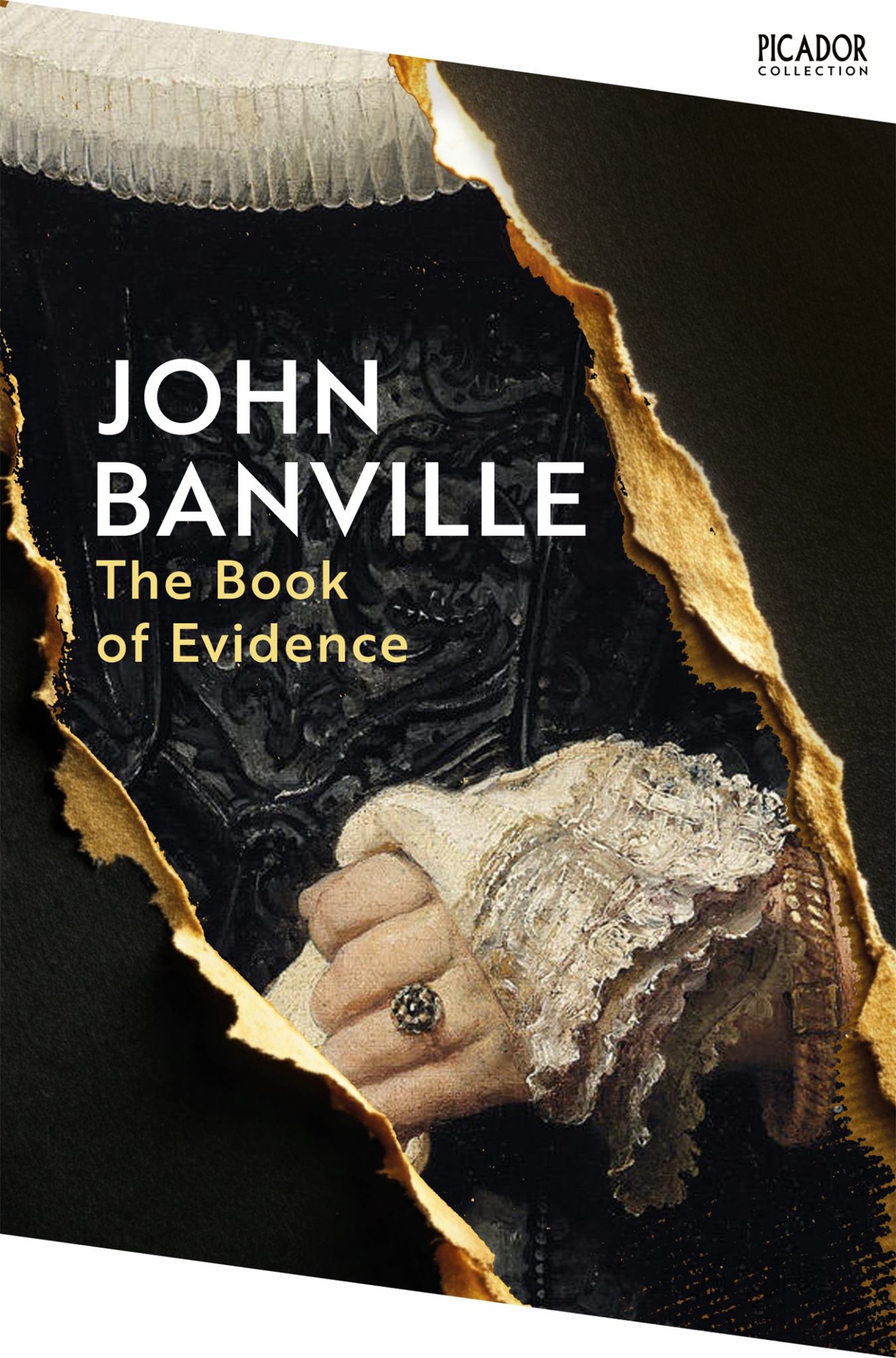 The Book of Evidence Cover Image