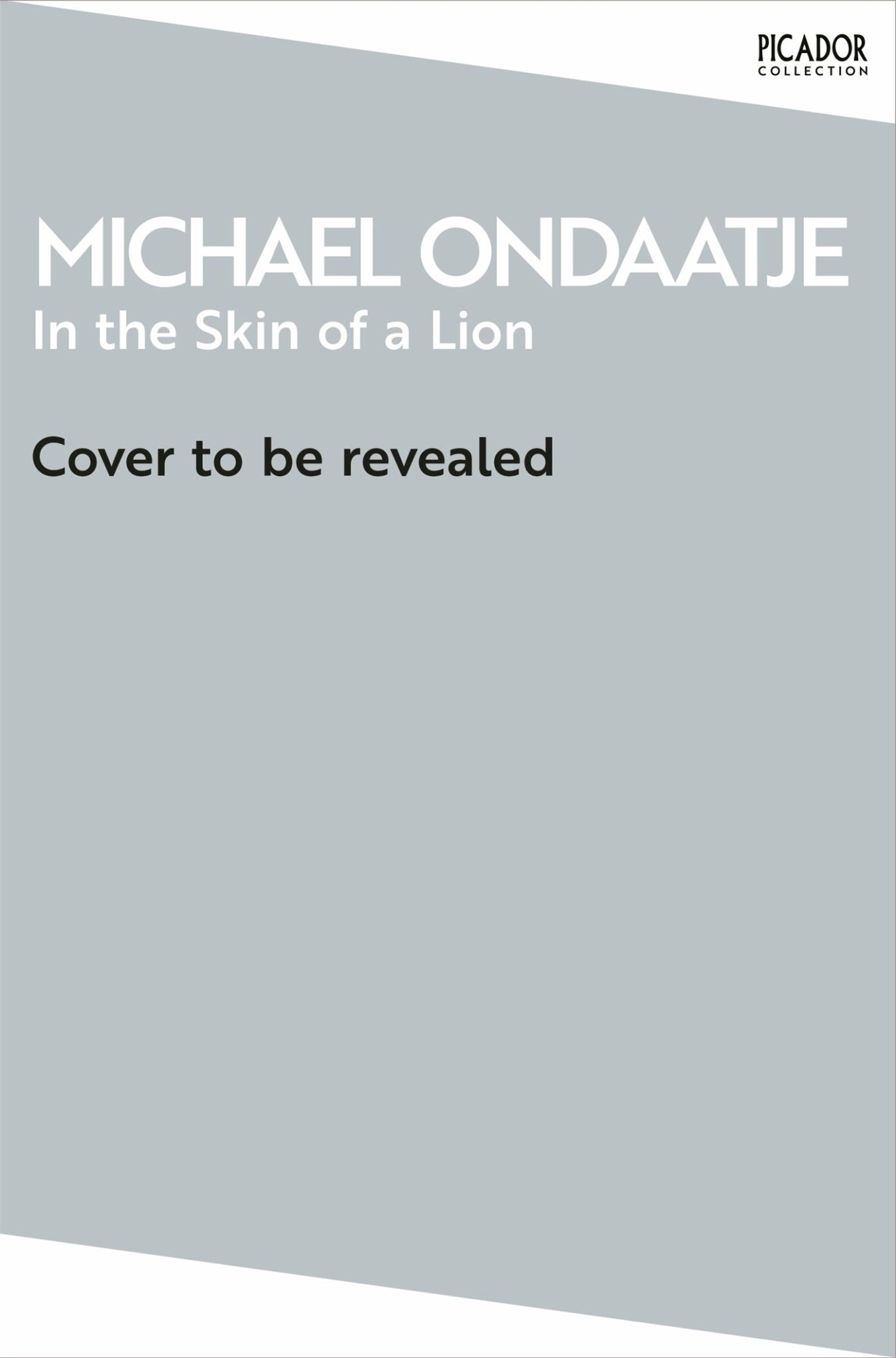 In the Skin of a Lion Cover Image
