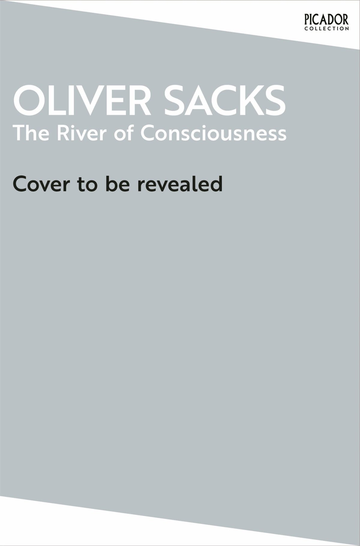 The River of Consciousness Cover Image