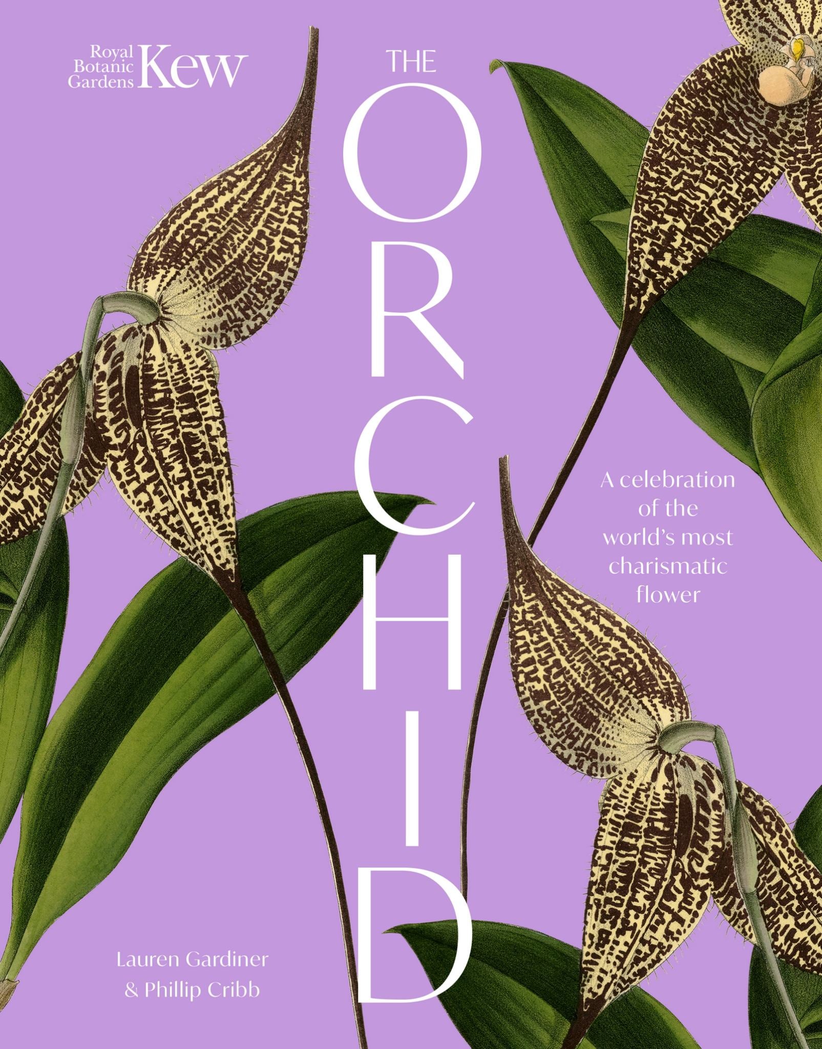 The Orchid Cover Image