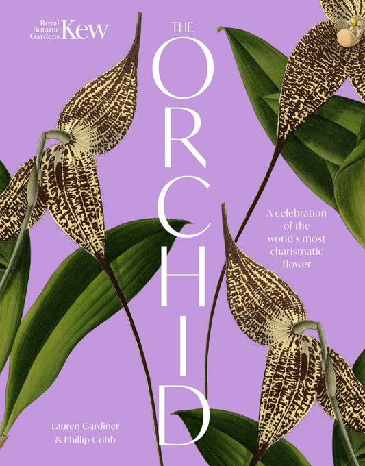 The Orchid Cover Image