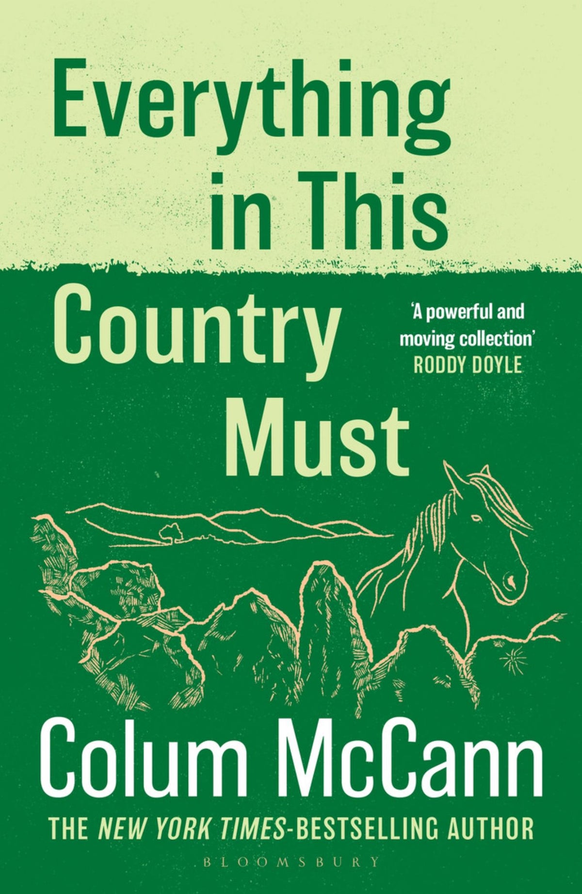 Everything in This Country Must Cover Image
