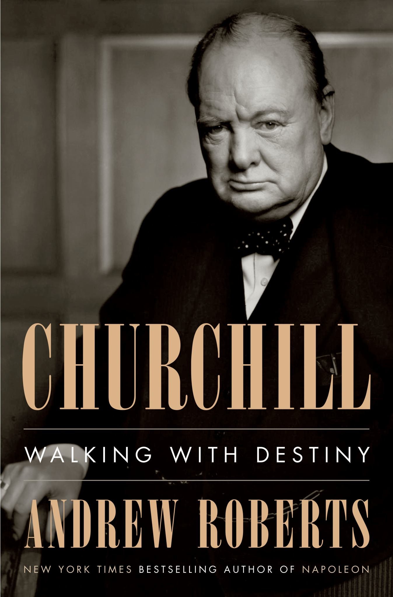 Churchill Cover Image