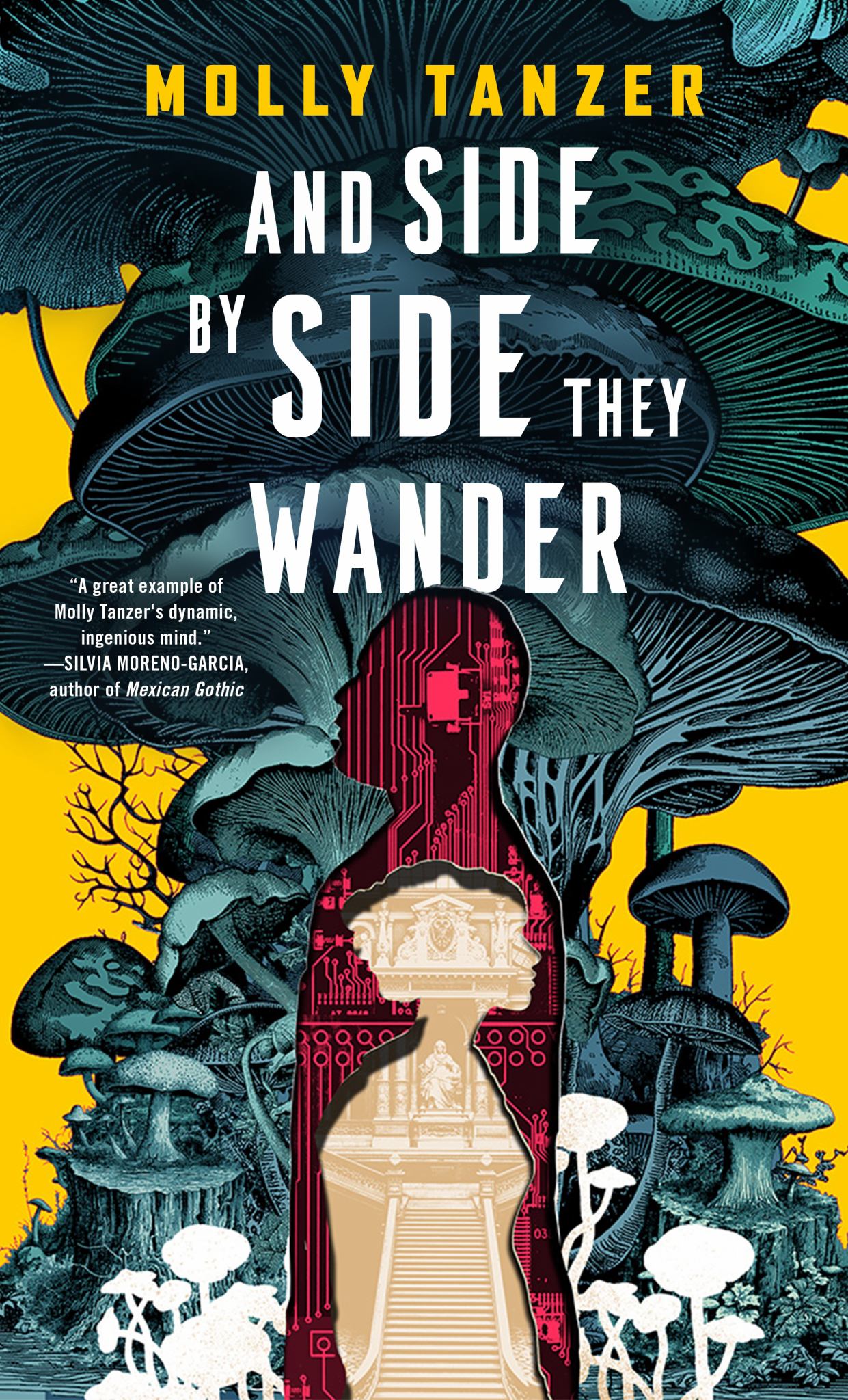 And Side by Side They Wander Cover Image