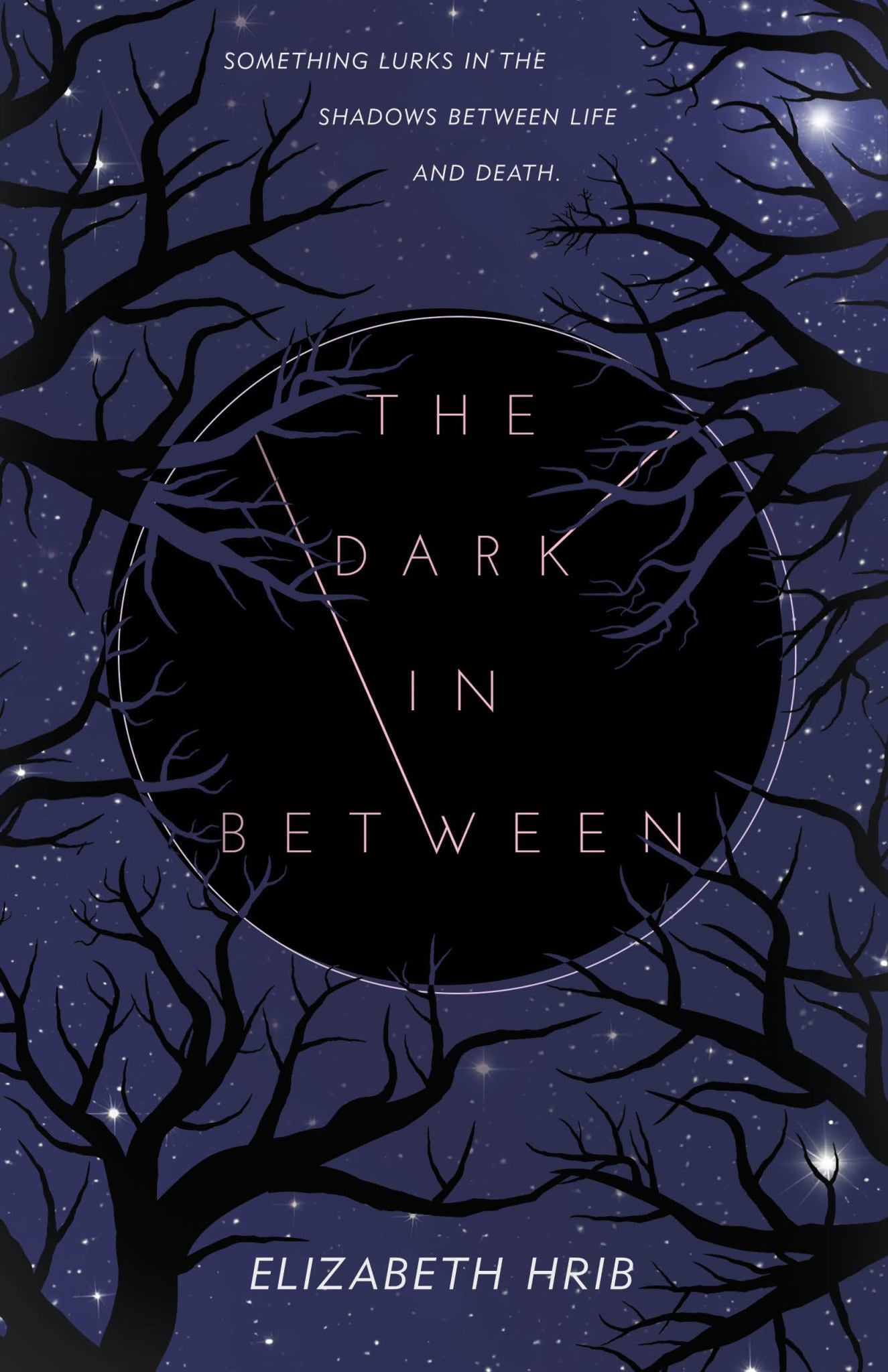 The Dark In-Between Cover Image
