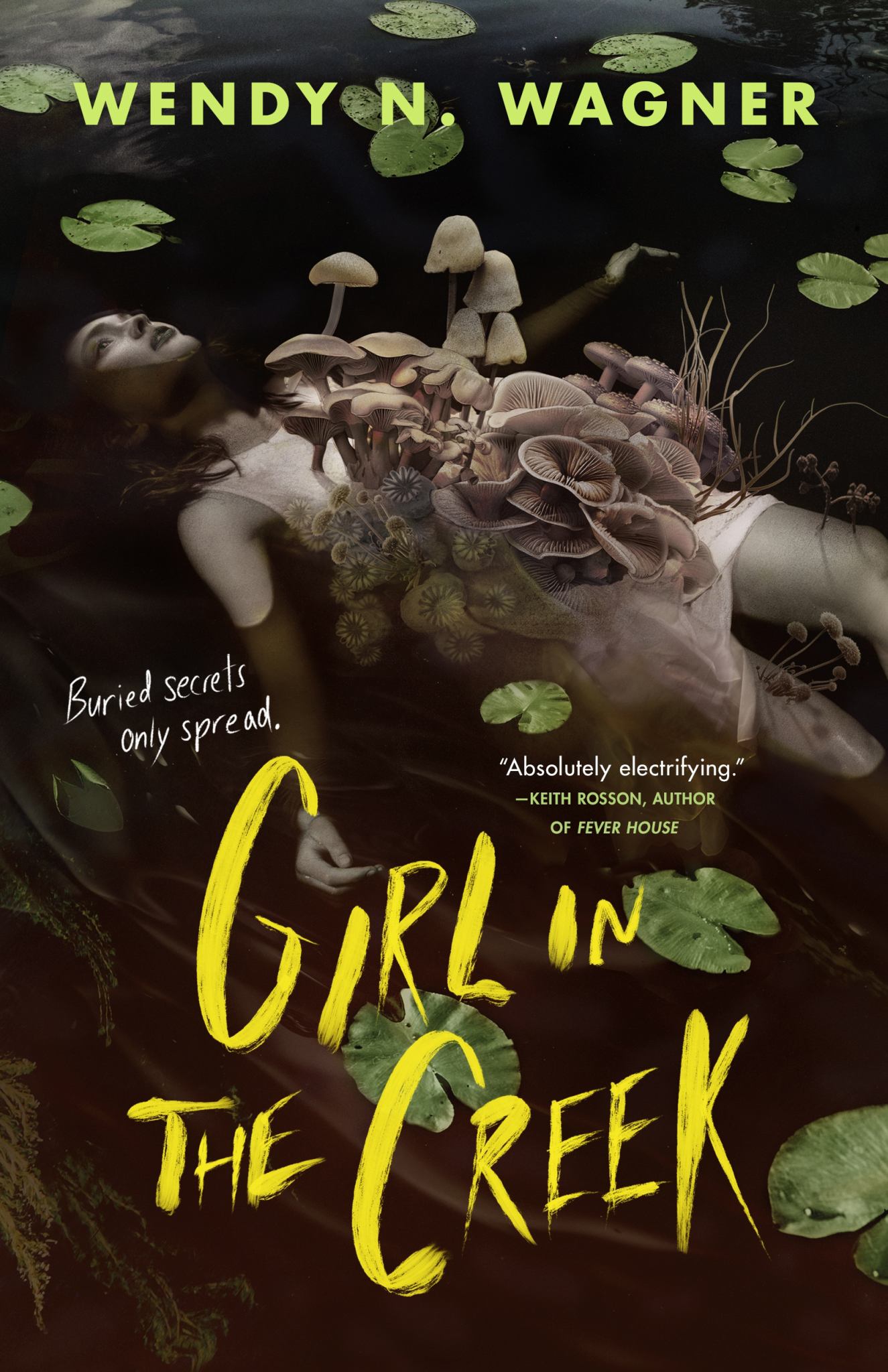 Girl in the Creek Cover Image