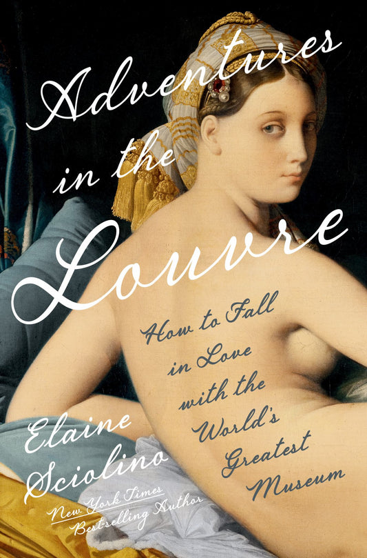 Adventures in the Louvre Cover Image