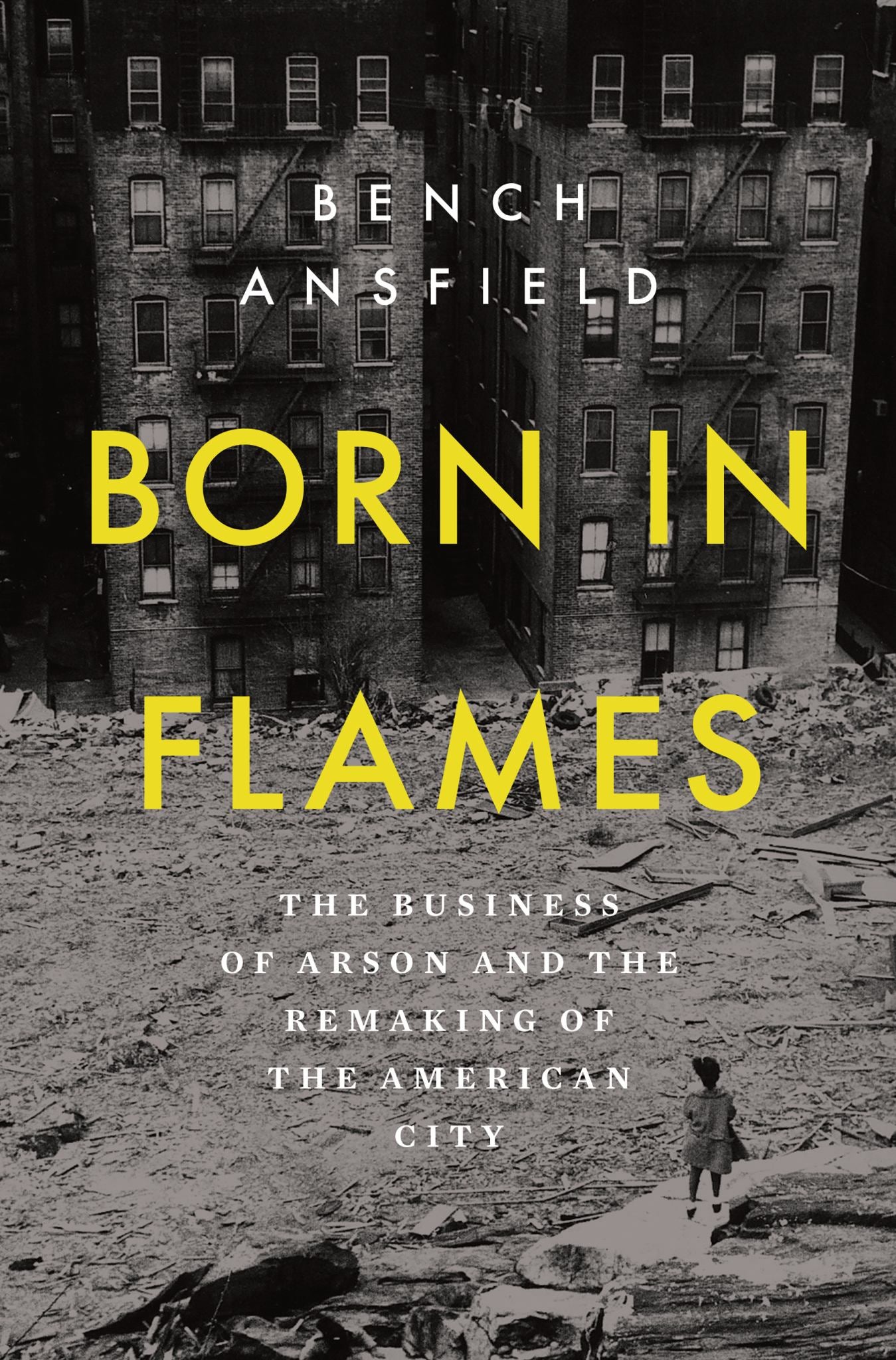 Born in Flames Cover Image