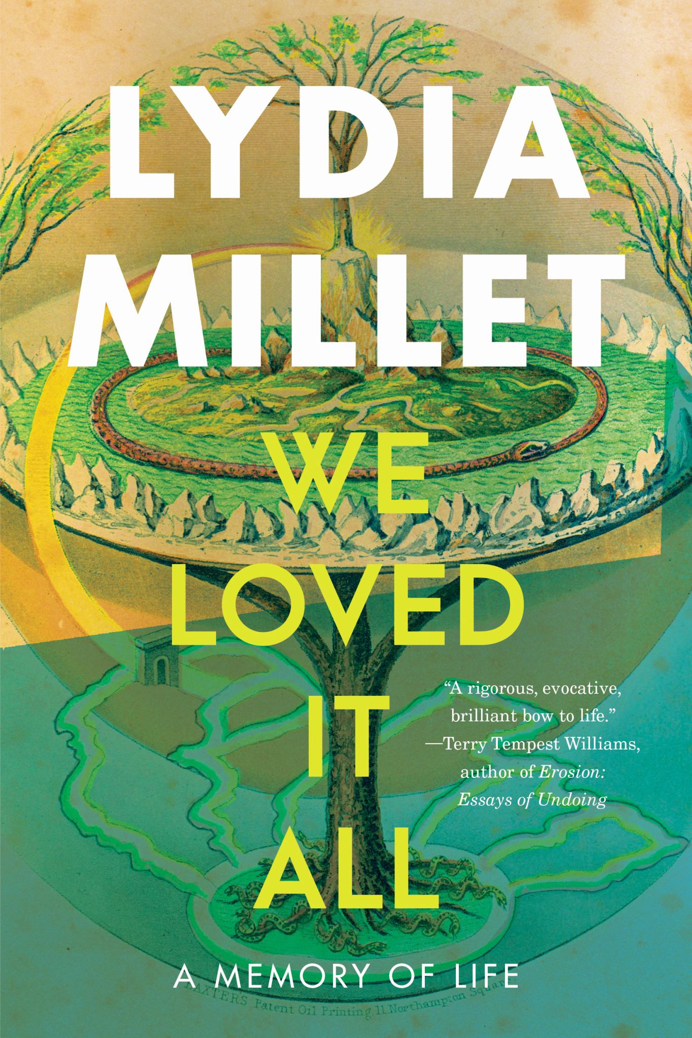 We Loved It All Cover Image