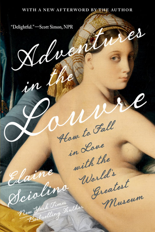 Adventures in the Louvre Cover Image