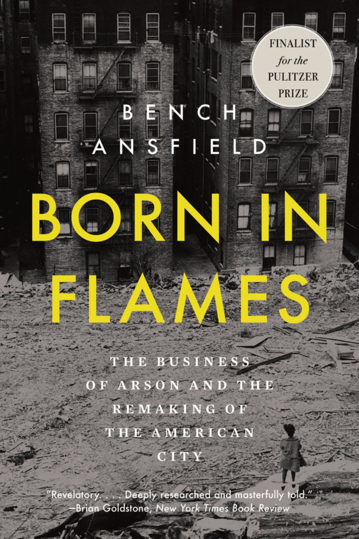 Born in Flames Cover Image