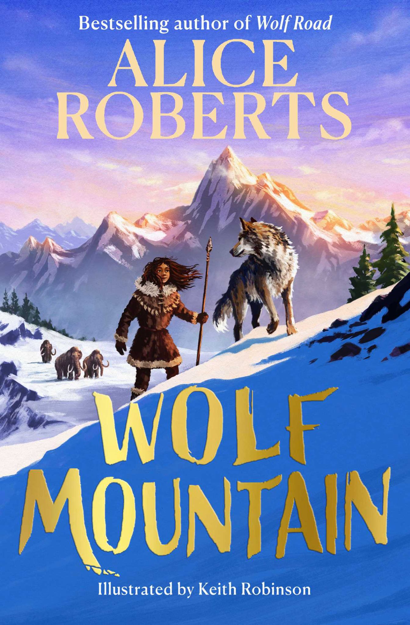 Wolf Mountain Cover Image