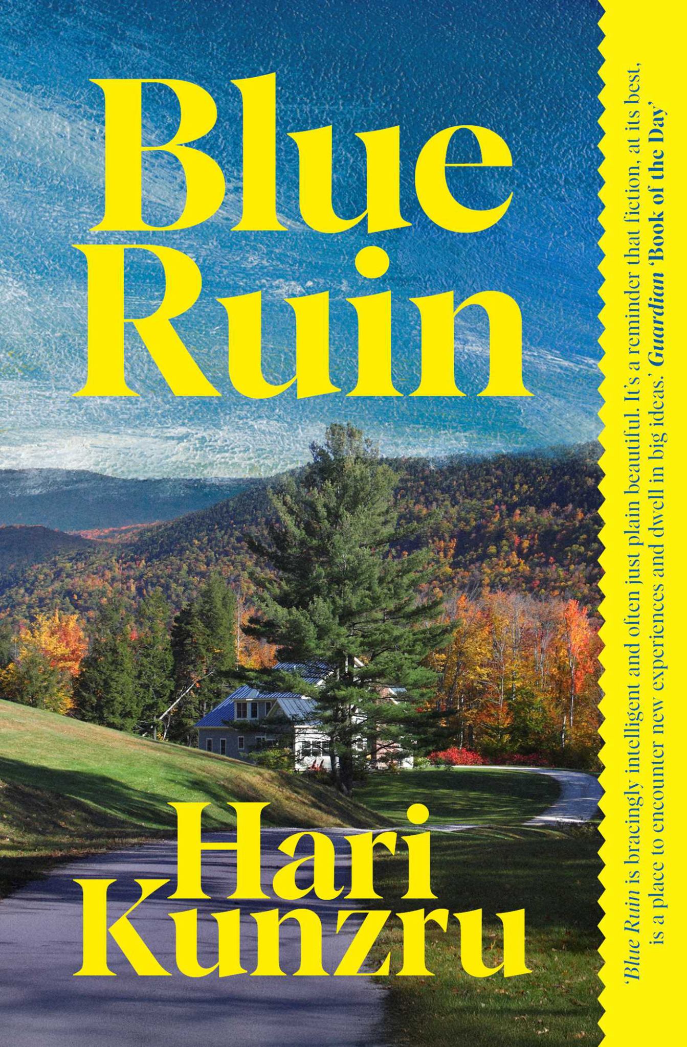 Blue Ruin Cover Image