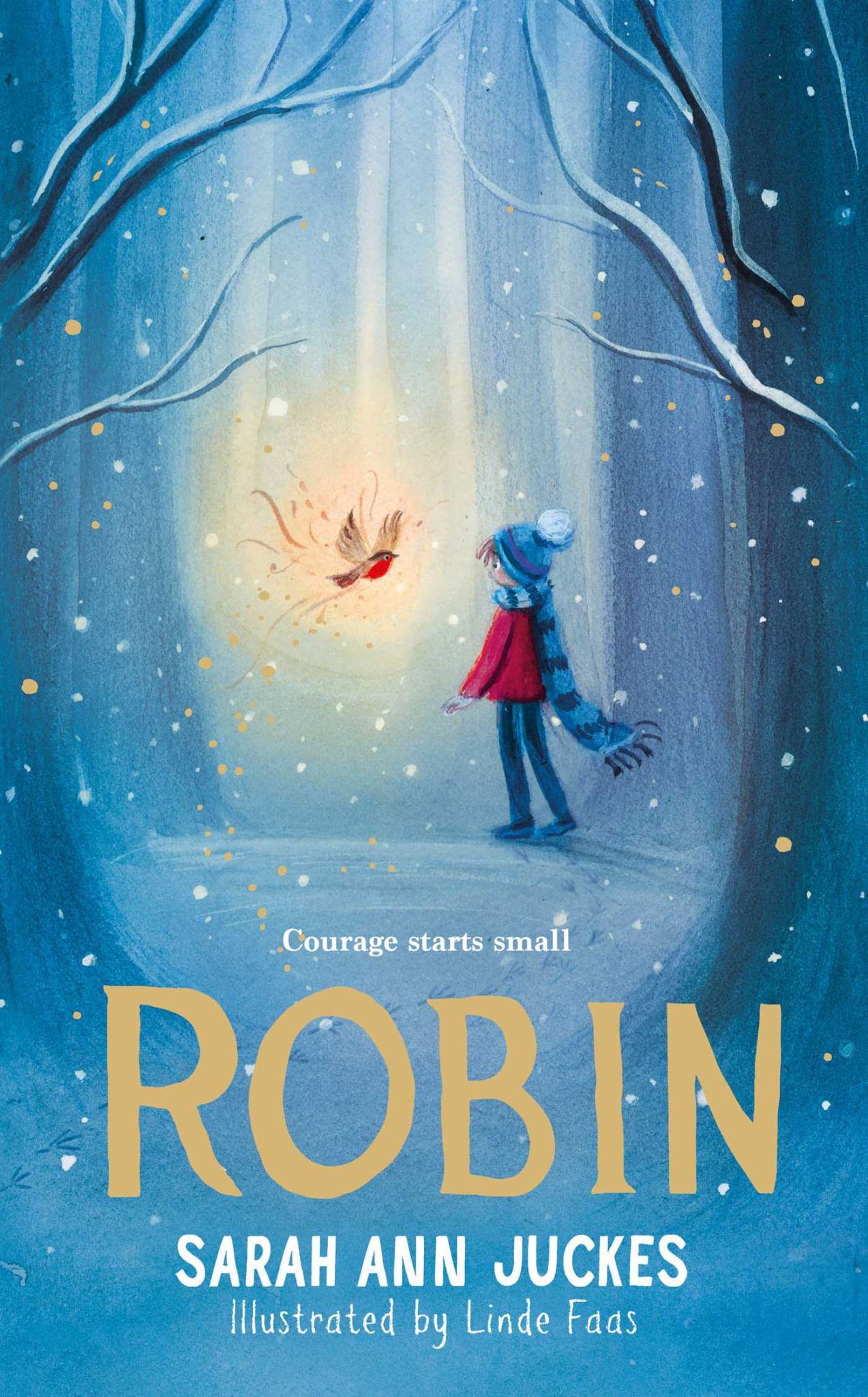 Robin Cover Image