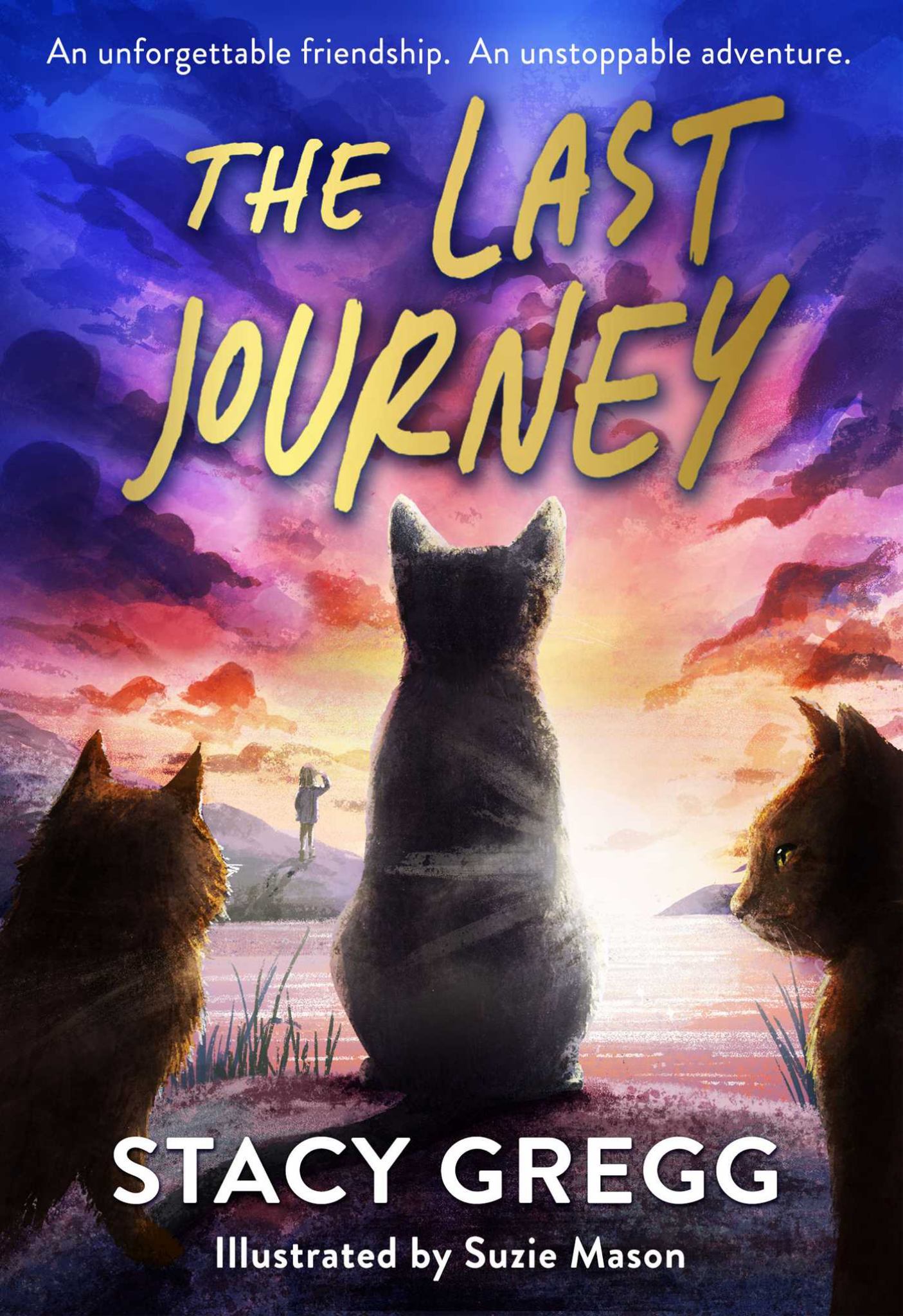 The Last Journey Cover Image