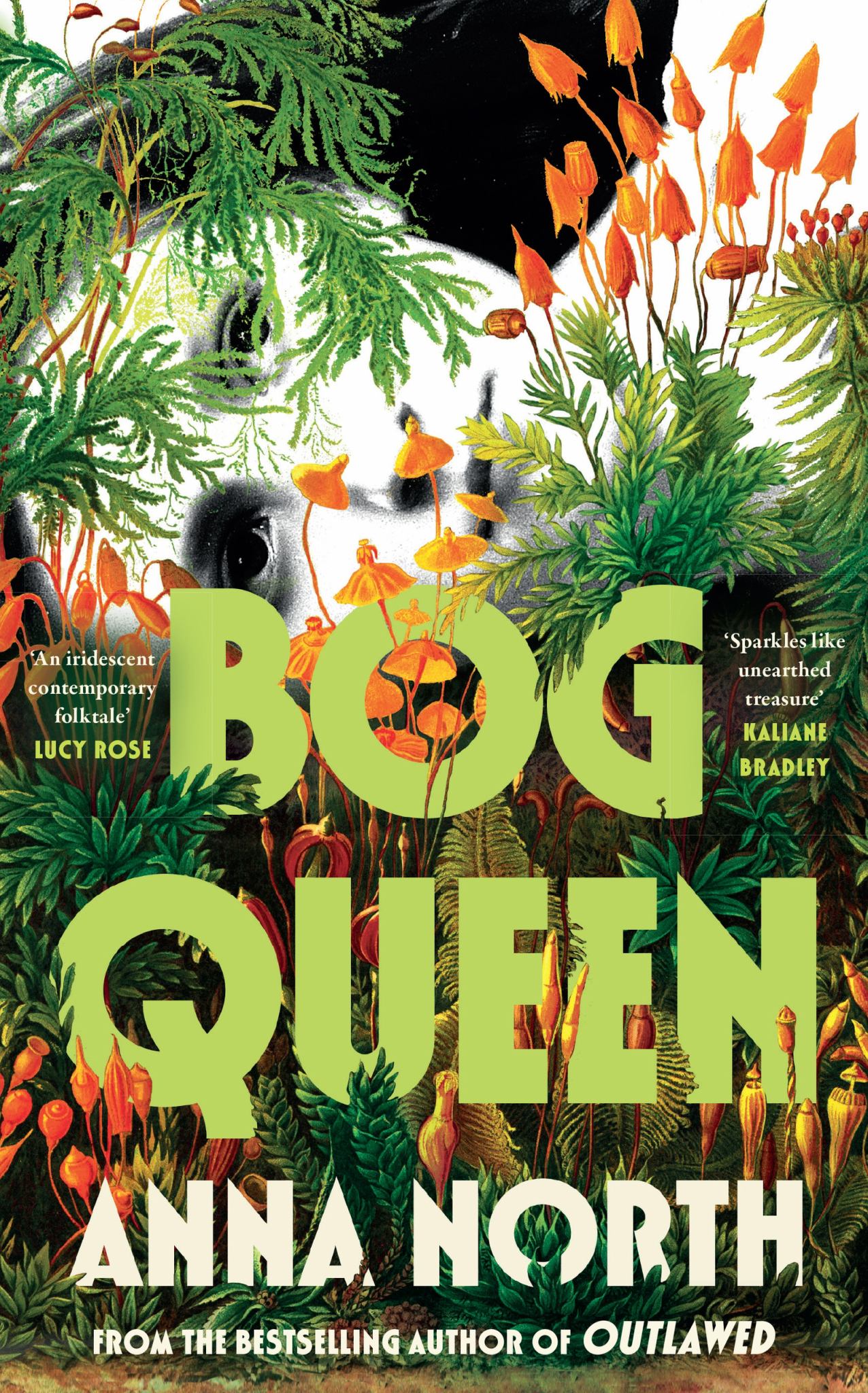 Bog Queen Cover Image