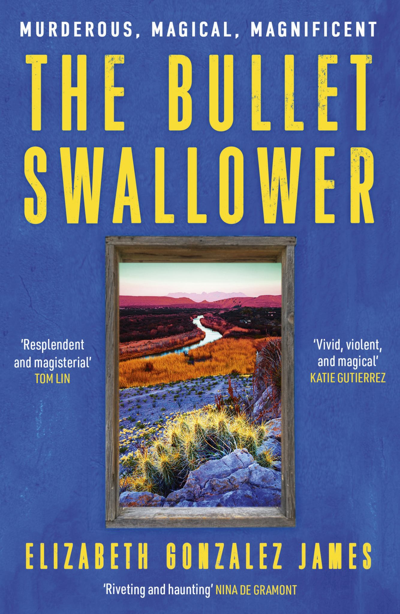 The Bullet Swallower Cover Image