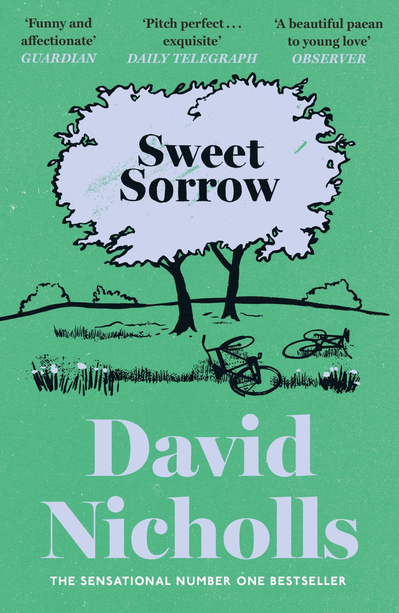 Sweet Sorrow Cover Image