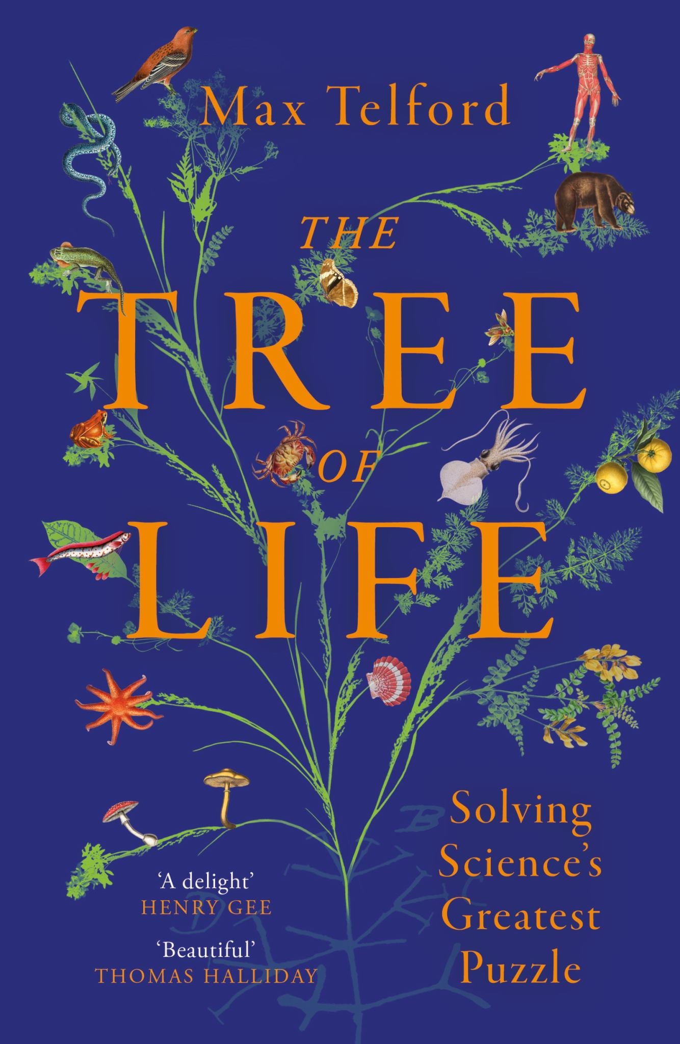 The Tree of Life Cover Image