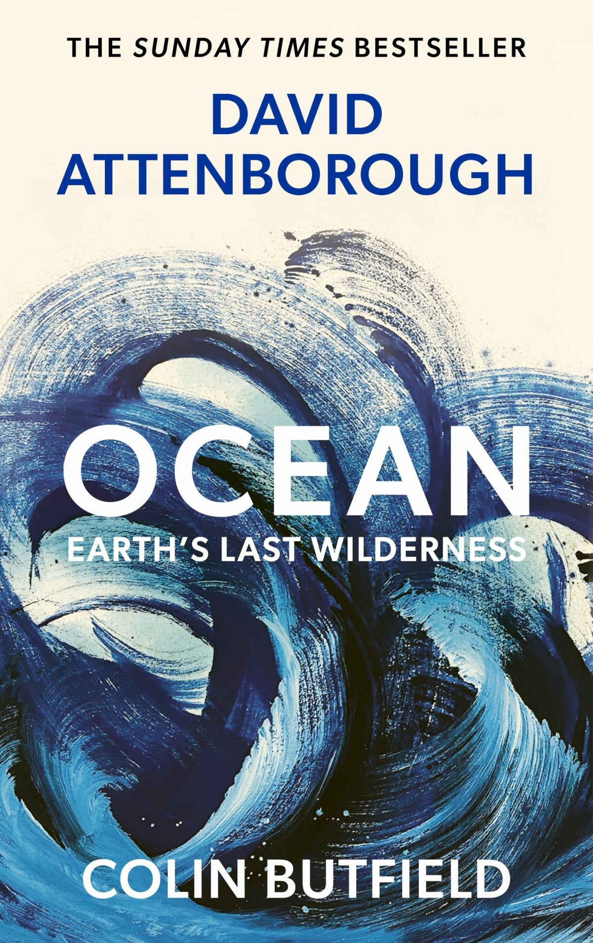 Ocean Cover Image