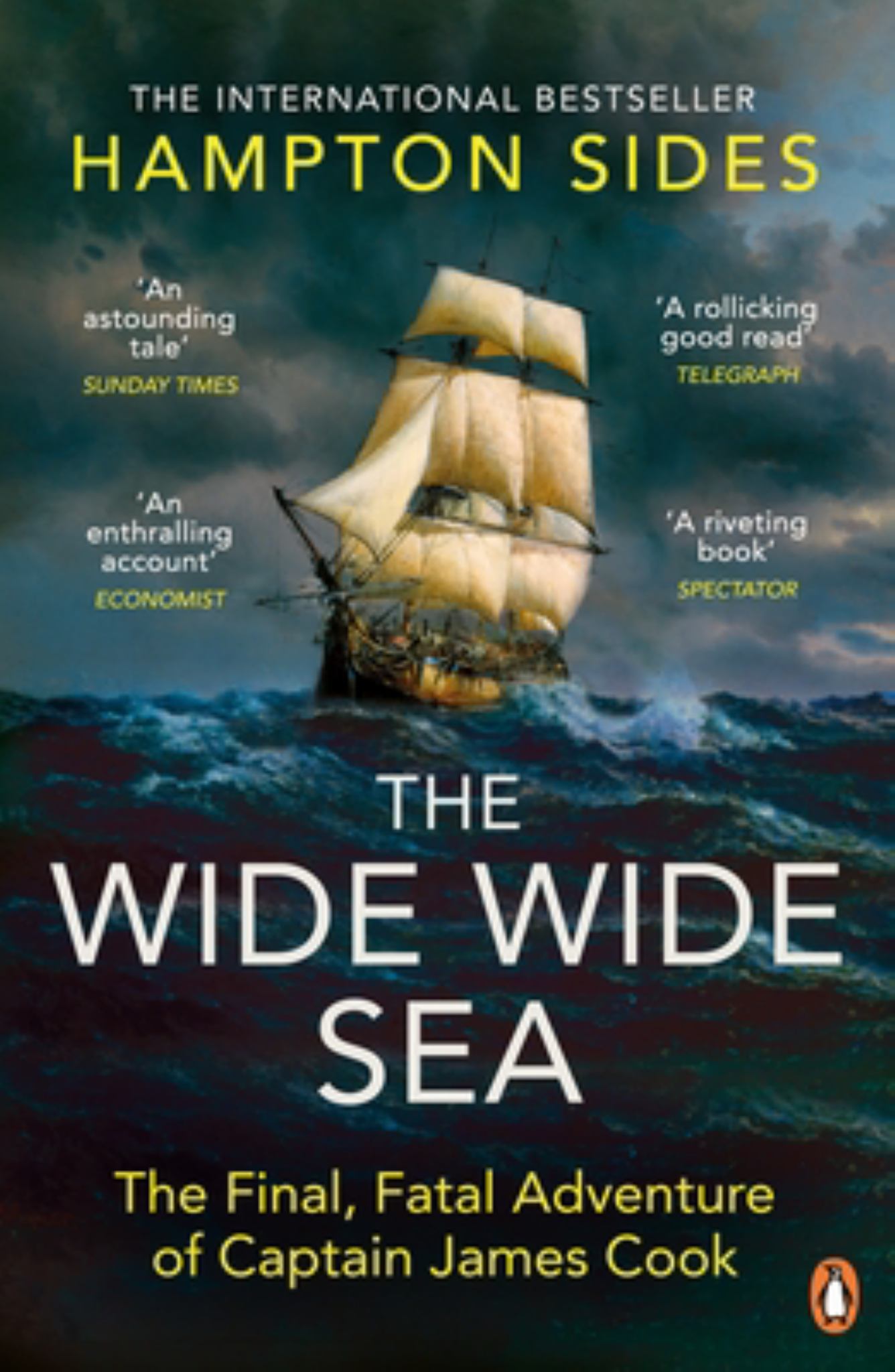 The Wide Wide Sea Cover Image