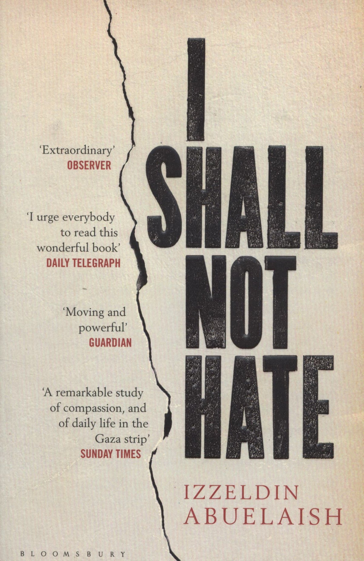 I Shall Not Hate Cover Image