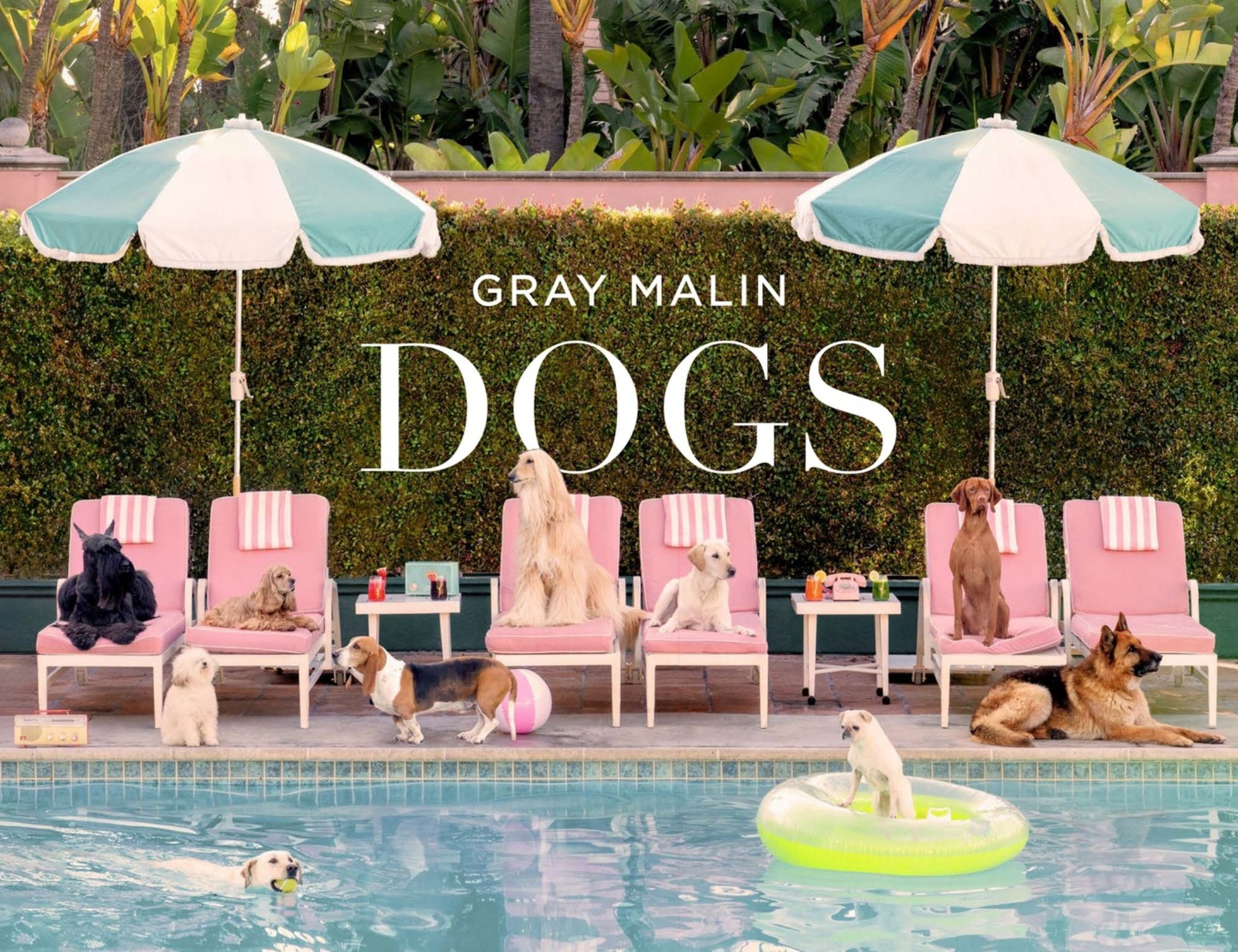 Gray Malin: Dogs Cover Image