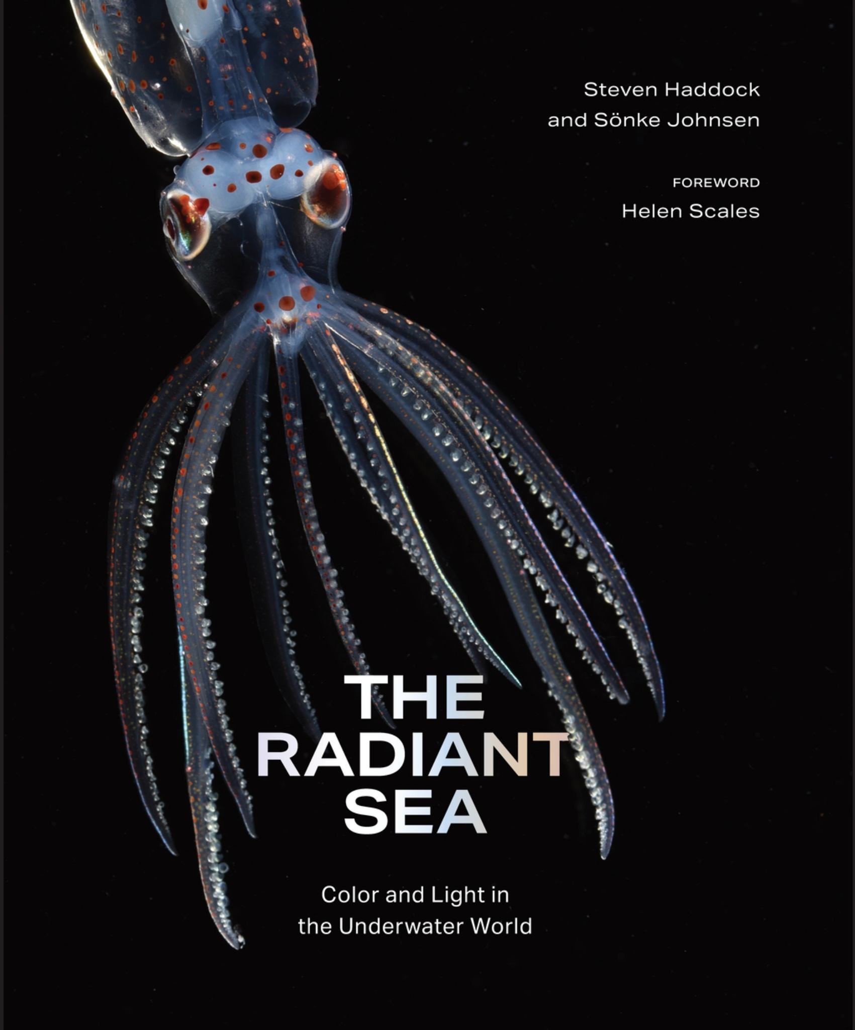 The Radiant Sea Cover Image