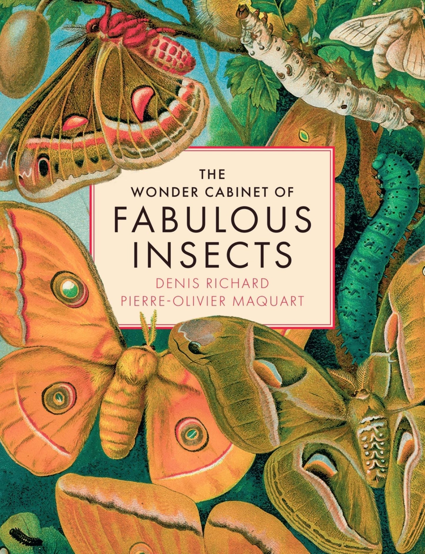 The Wonder Cabinet of Fabulous Insects Cover Image