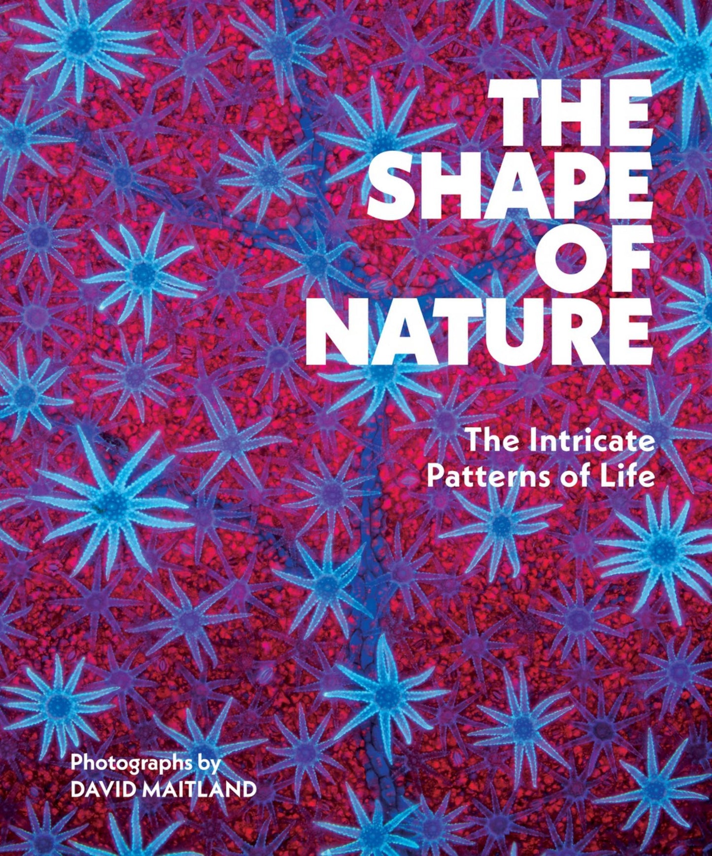 The Shape of Nature Cover Image