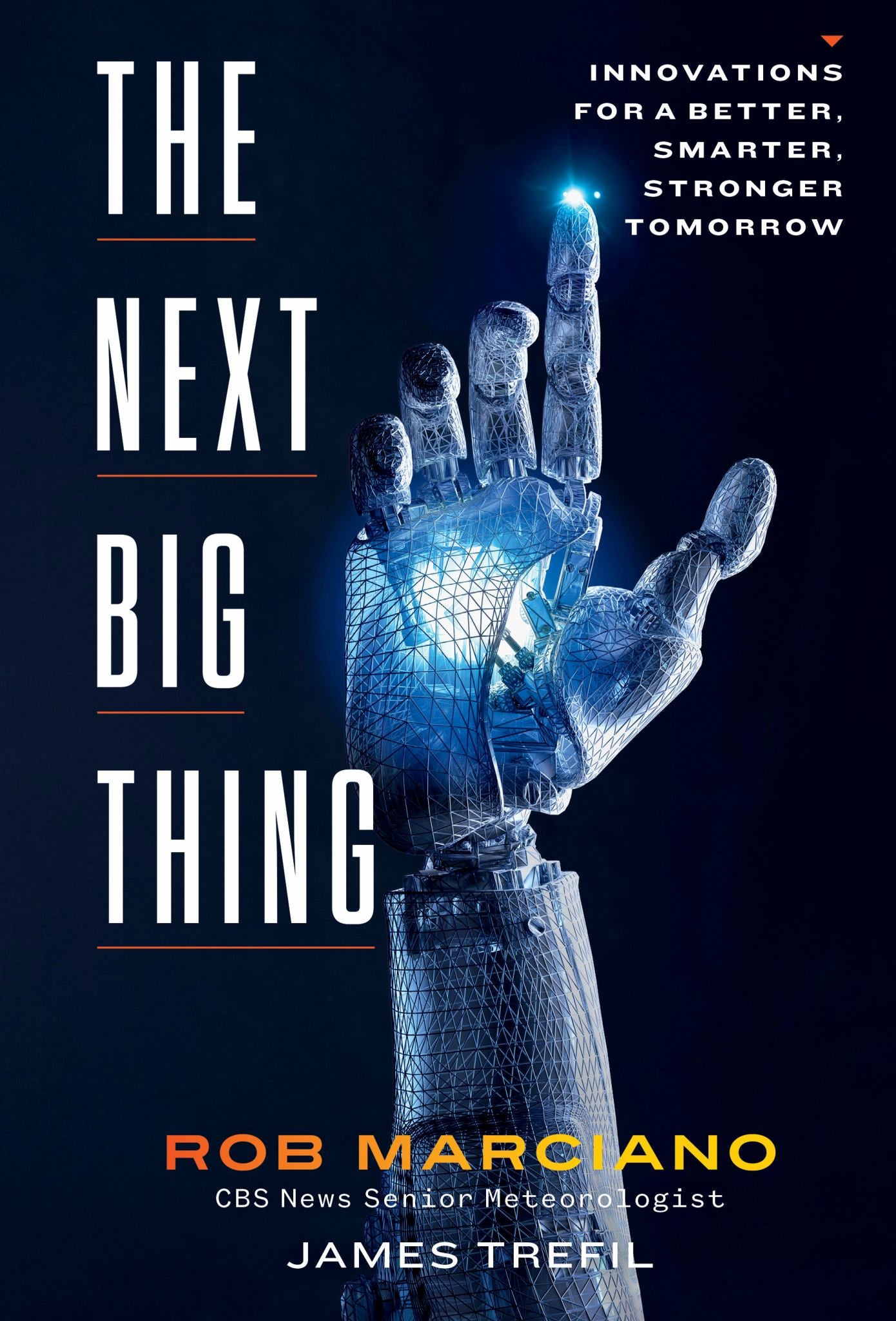 The Next Big Thing Cover Image