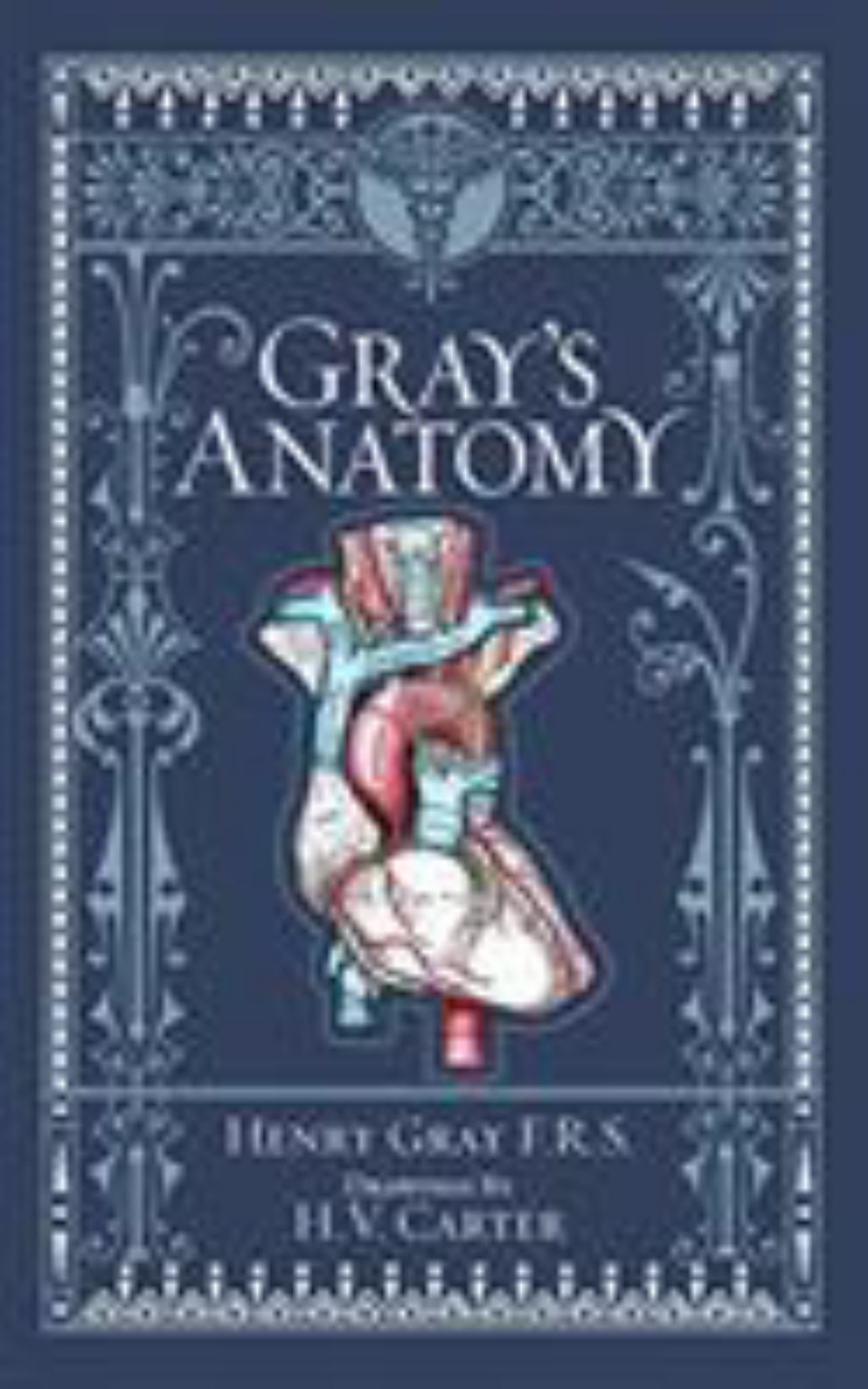 Gray's Anatomy Cover Image